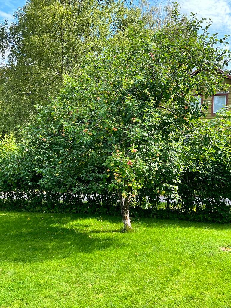 Puolukkatie 10, Könönpelto, Varkaus