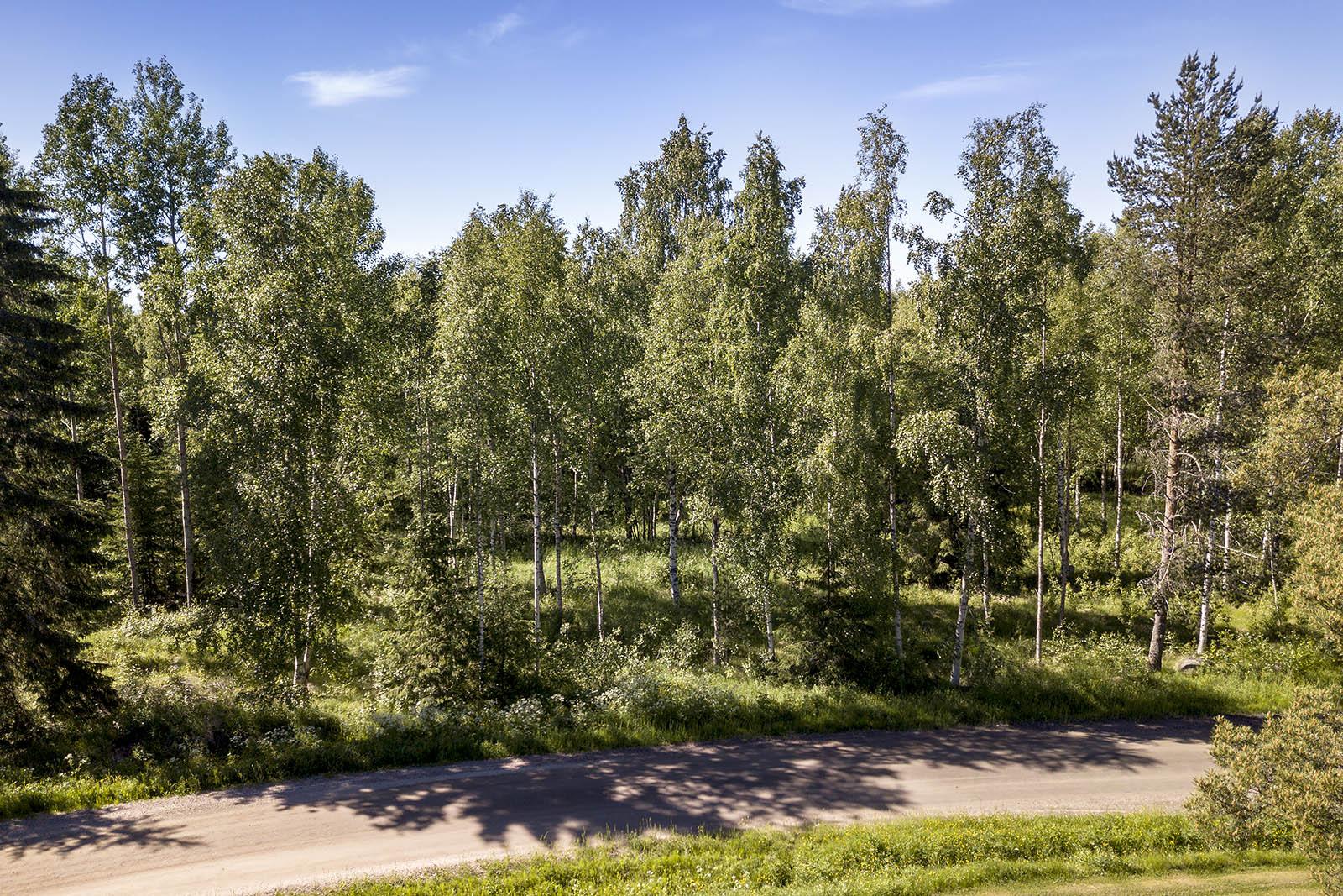 Räinänperäntie 164, Räinänperä, Ii