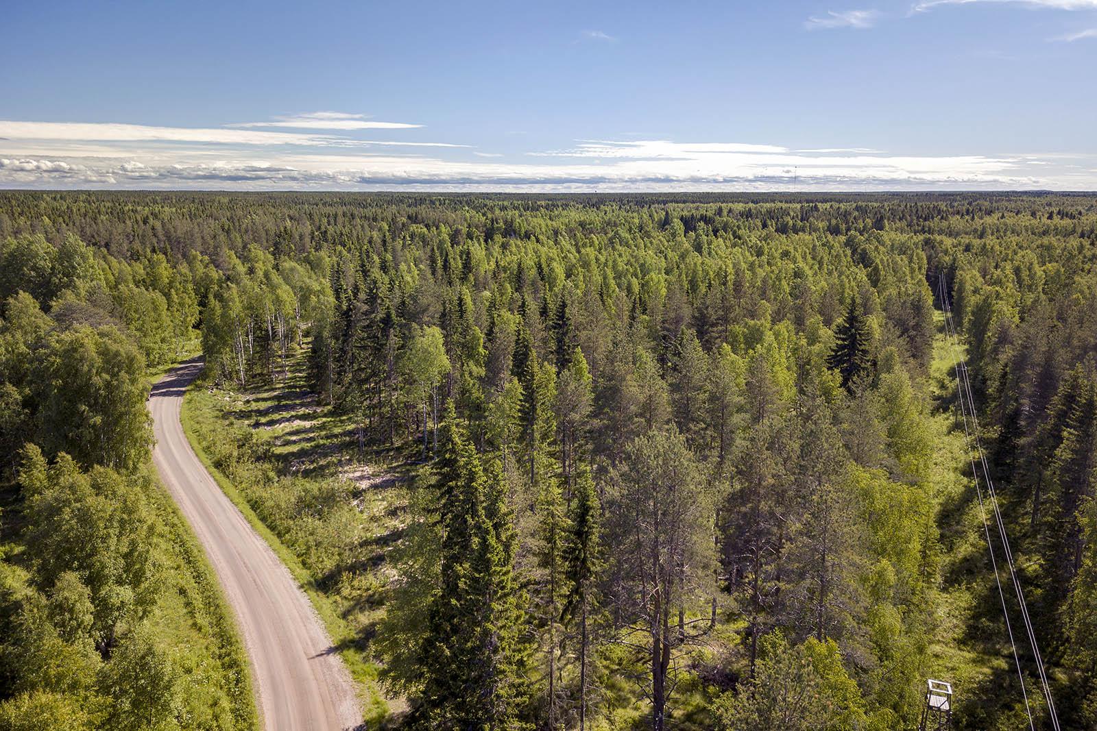 Räinänperäntie 164, Räinänperä, Ii