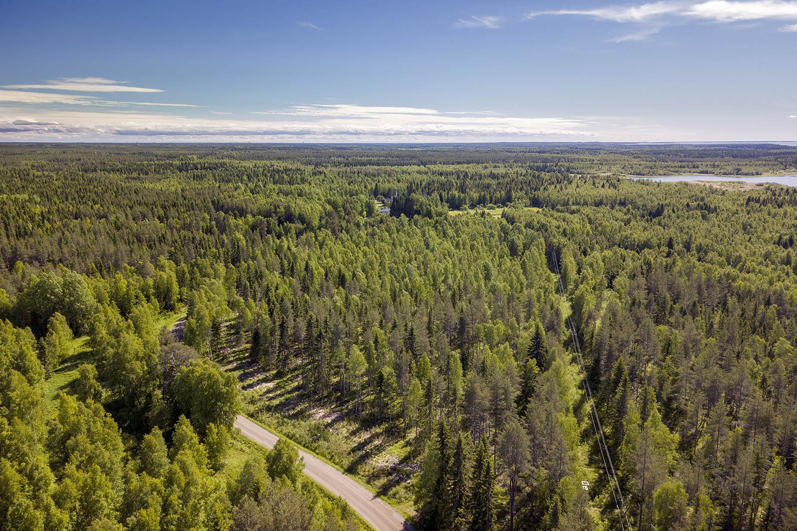 Räinänperäntie 164, Räinänperä, Ii