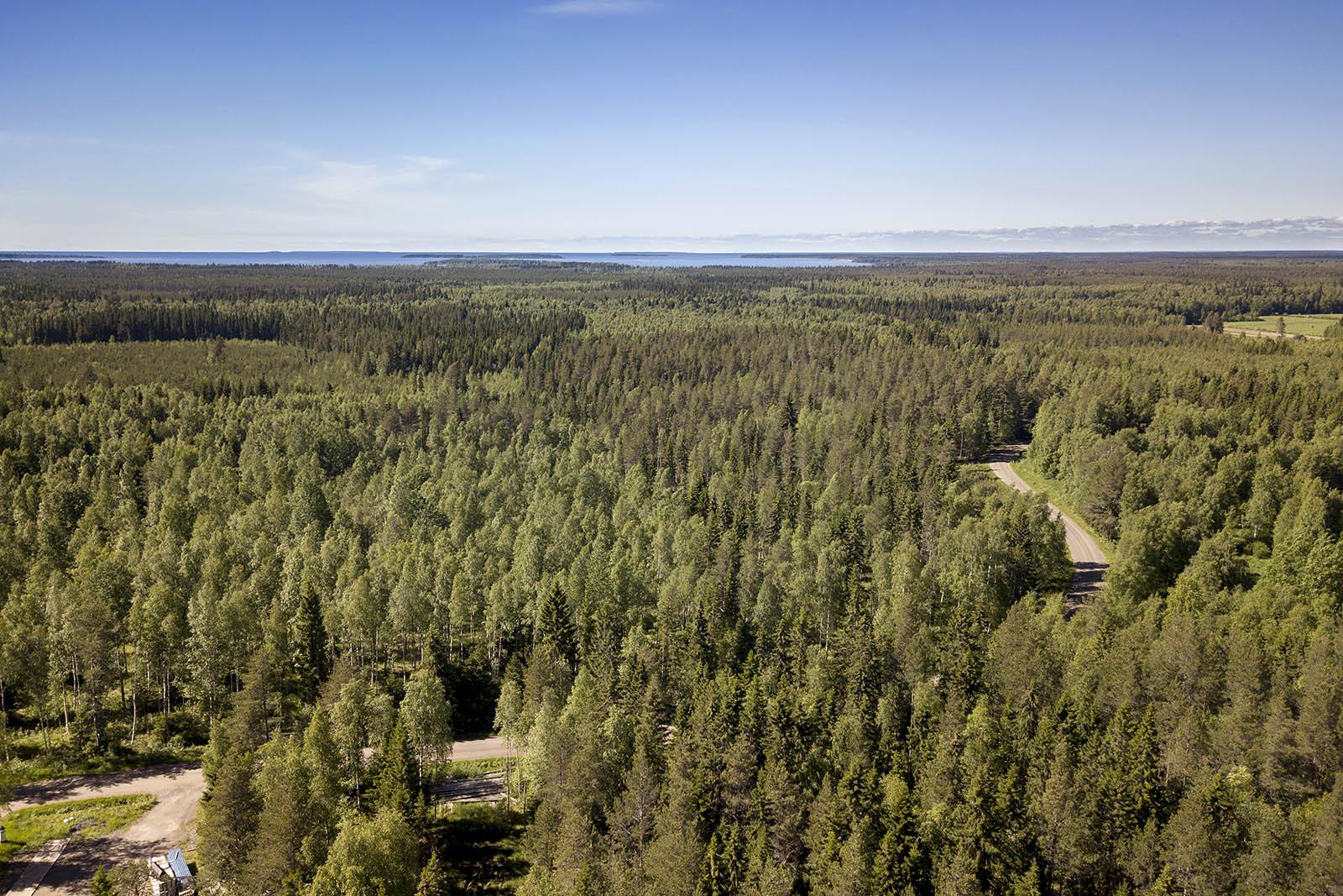 Räinänperäntie 164, Räinänperä, Ii