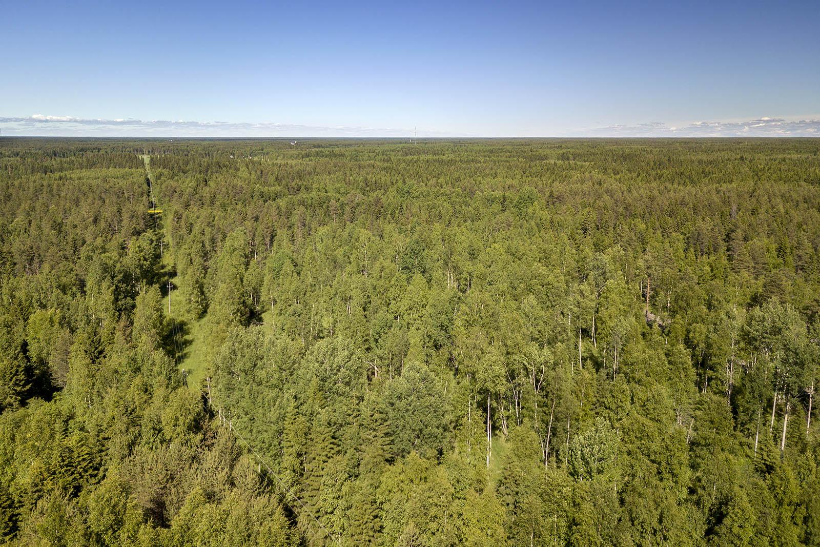 Räinänperäntie 164, Räinänperä, Ii