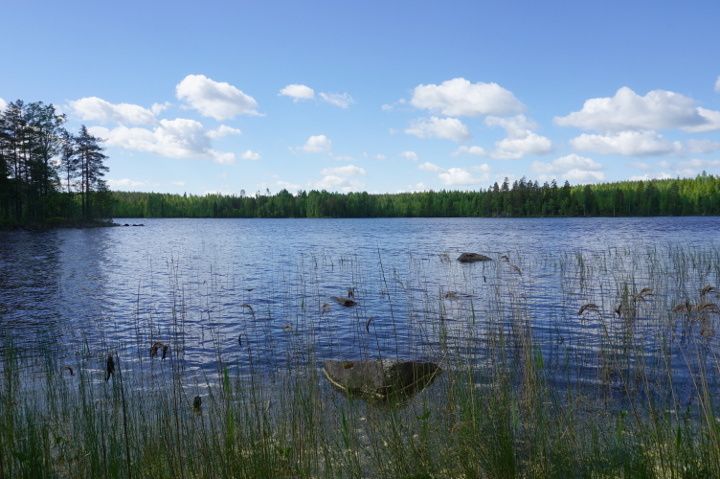 Miehalanniementie 406, Kangaslampi, Varkaus