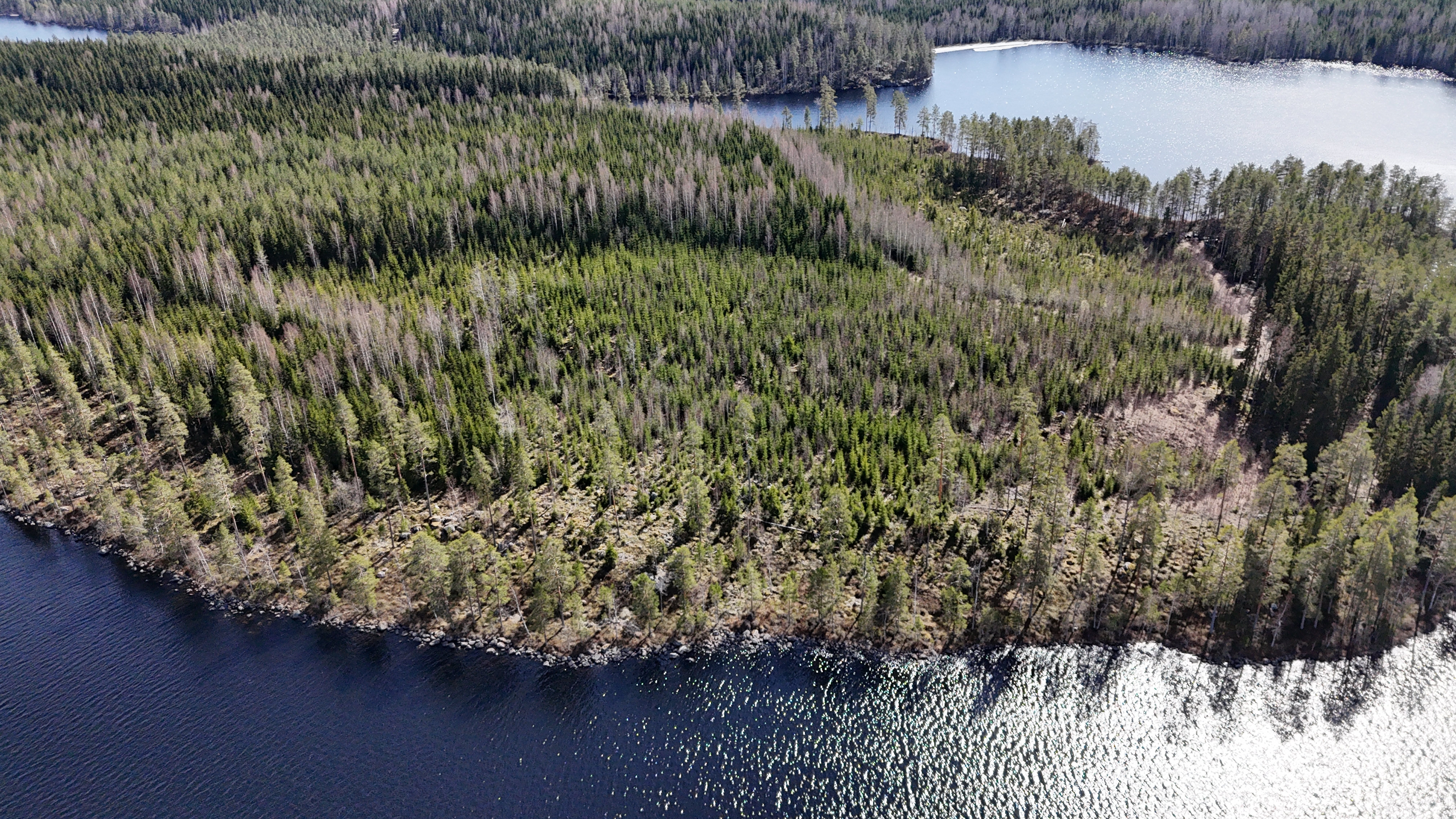 Miehalanniementie 406, Kangaslampi, Varkaus