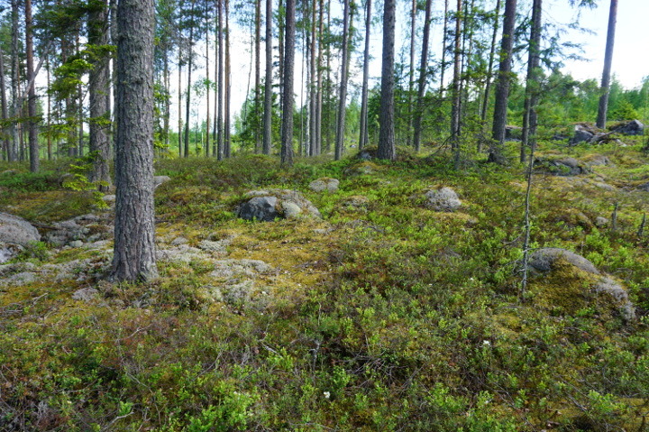 Miehalanniementie 406, Kangaslampi, Varkaus