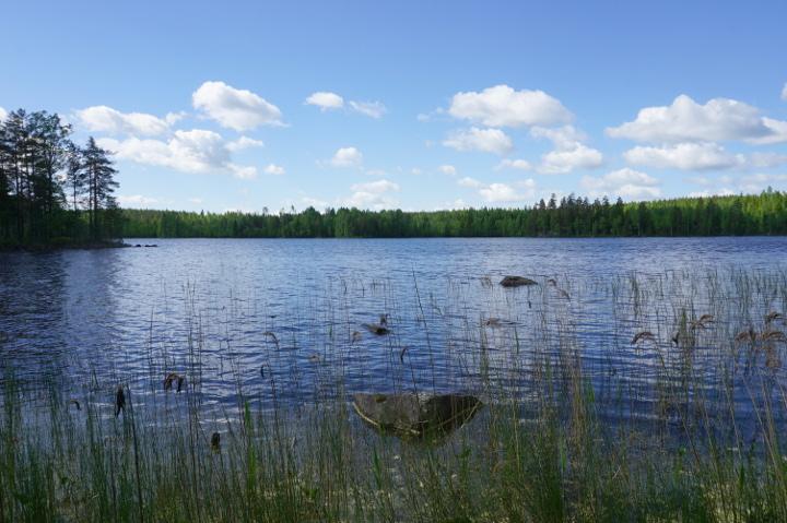Miehalanniementie 406, Kangaslampi, Varkaus