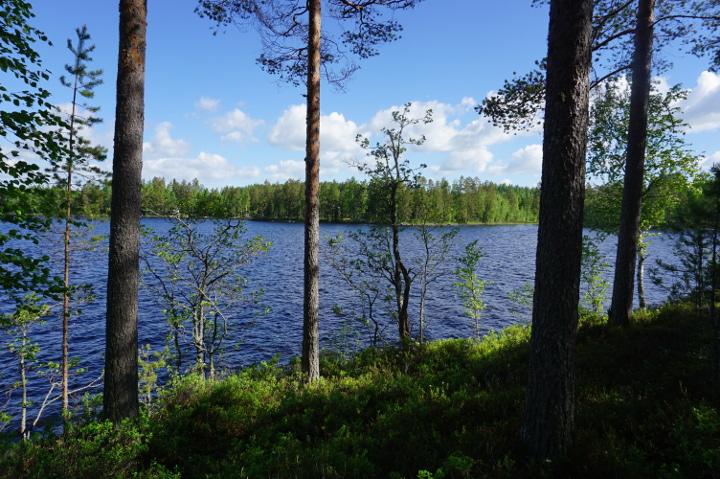 Miehalanniementie 416, Kangaslampi, Varkaus