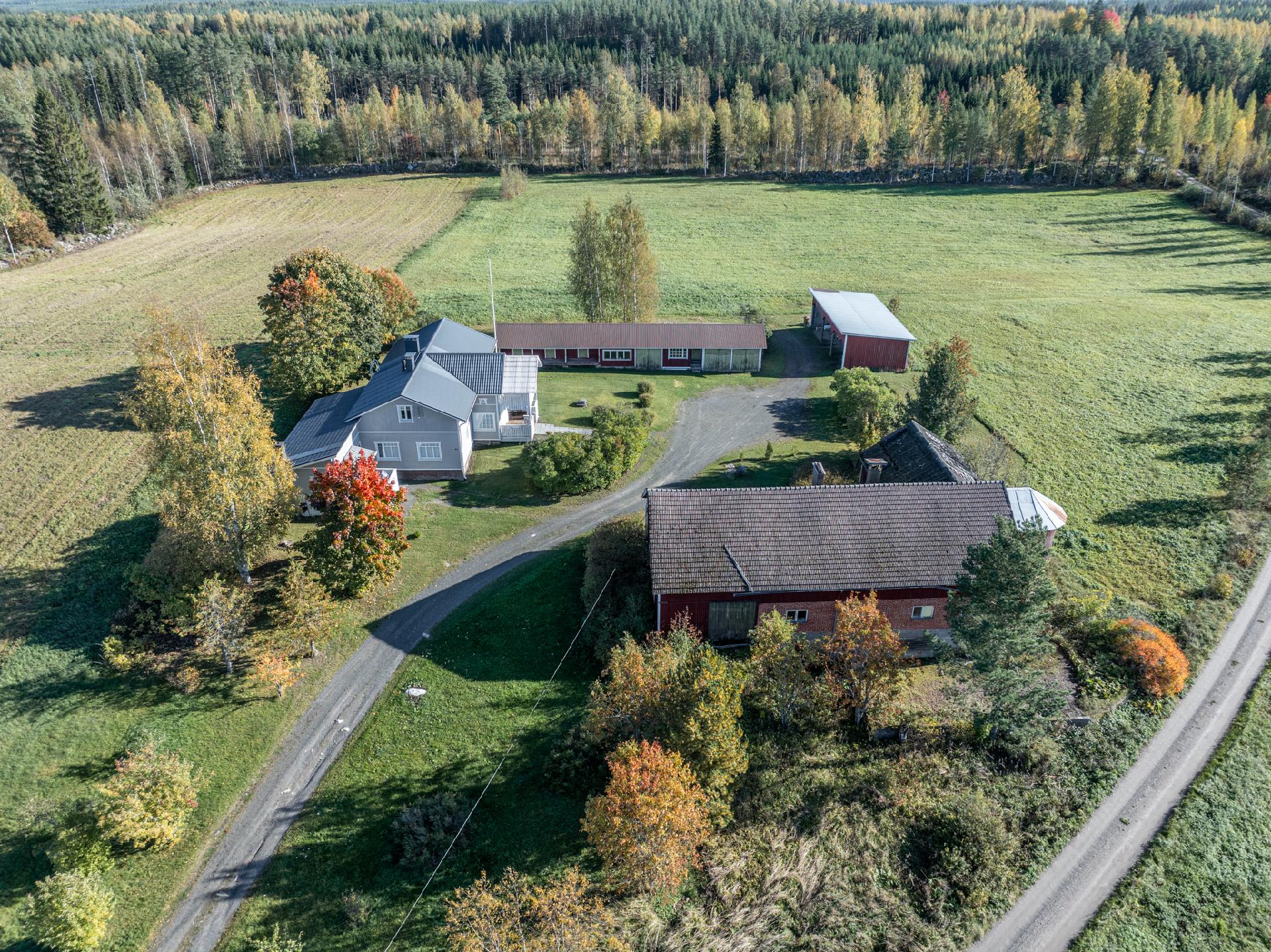 Paavolantie 61, Kinnilä, Mäntyharju