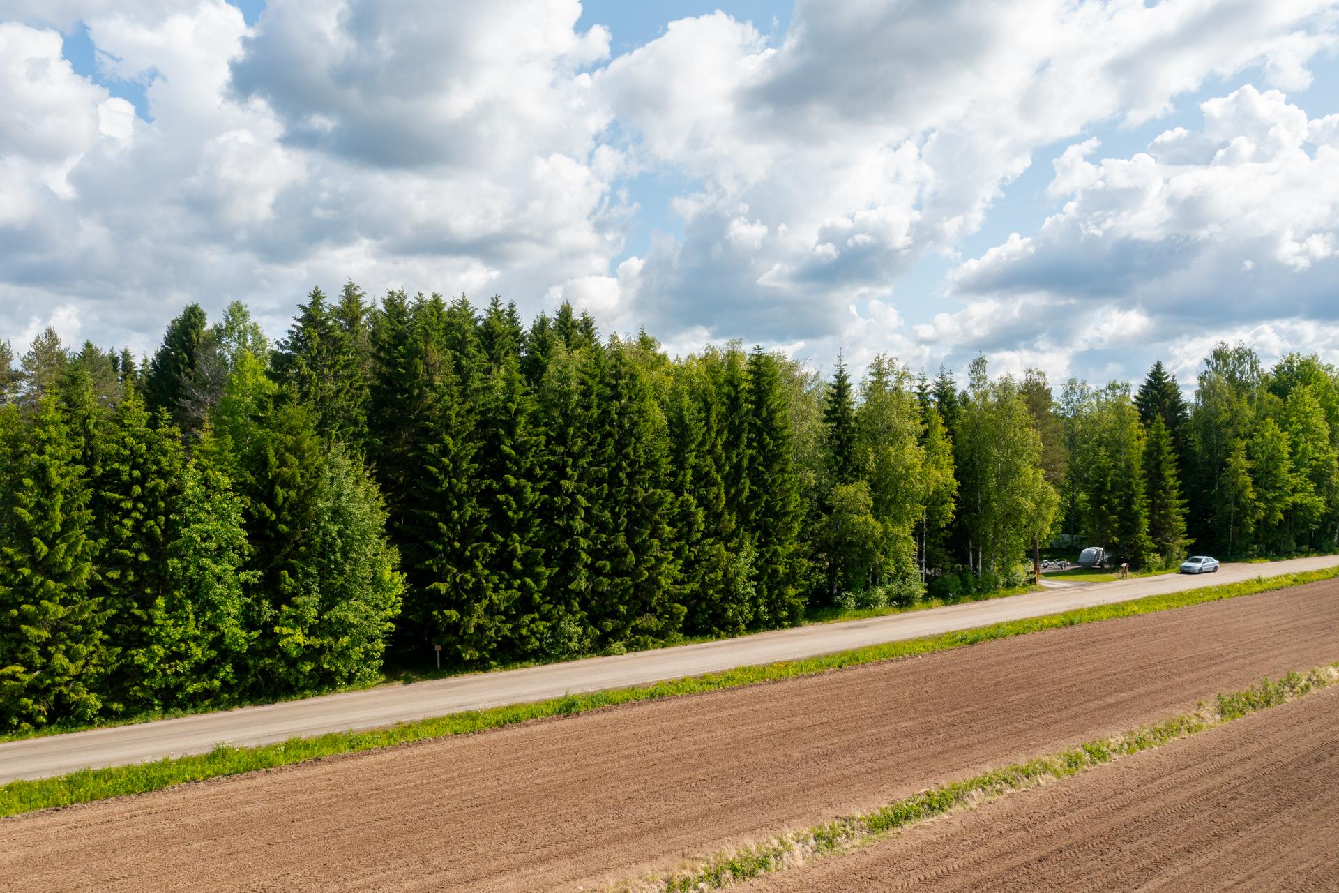 Sanginsaarentie 89, Sanginsuu, Oulu