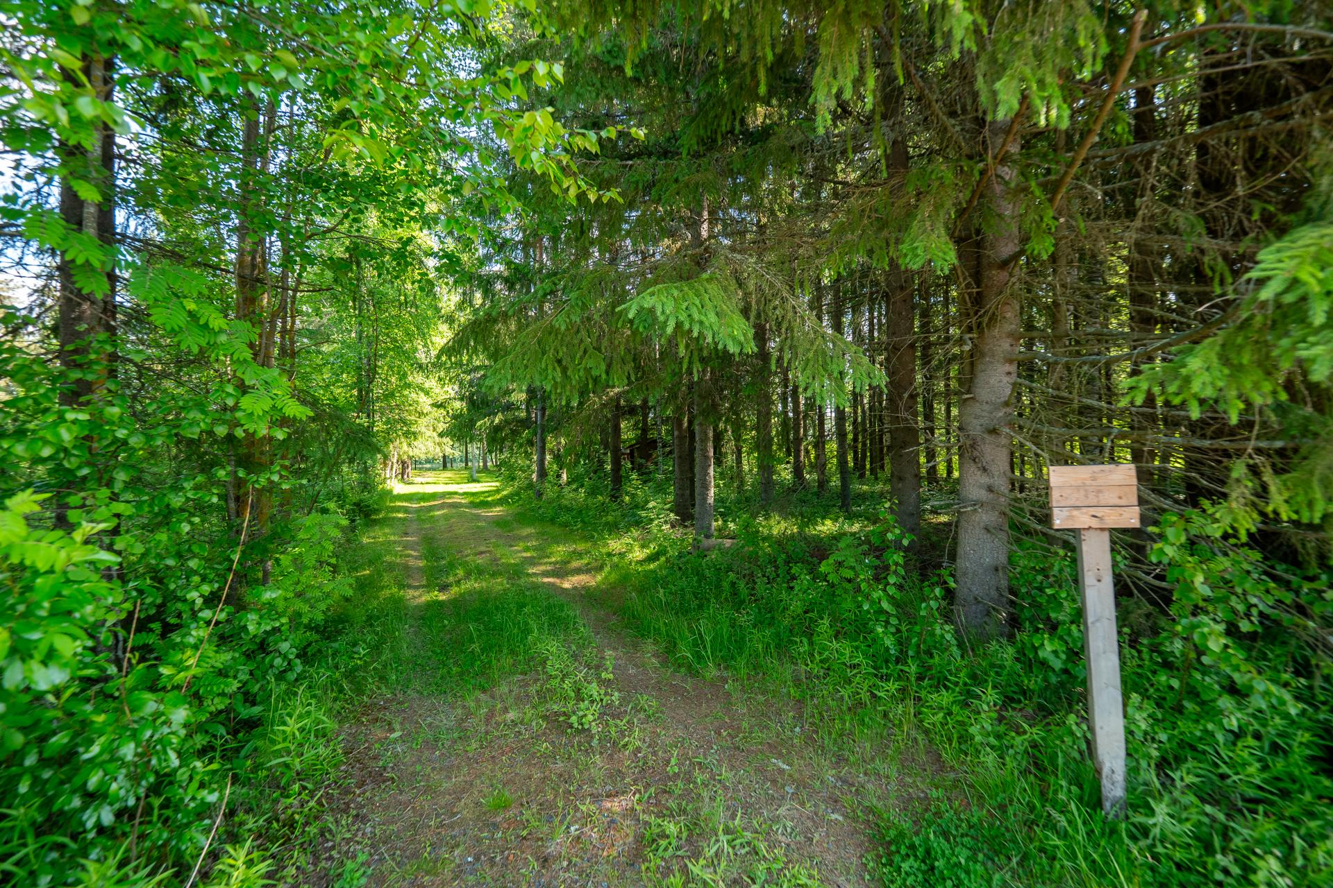 Sanginsaarentie 89, Sanginsuu, Oulu