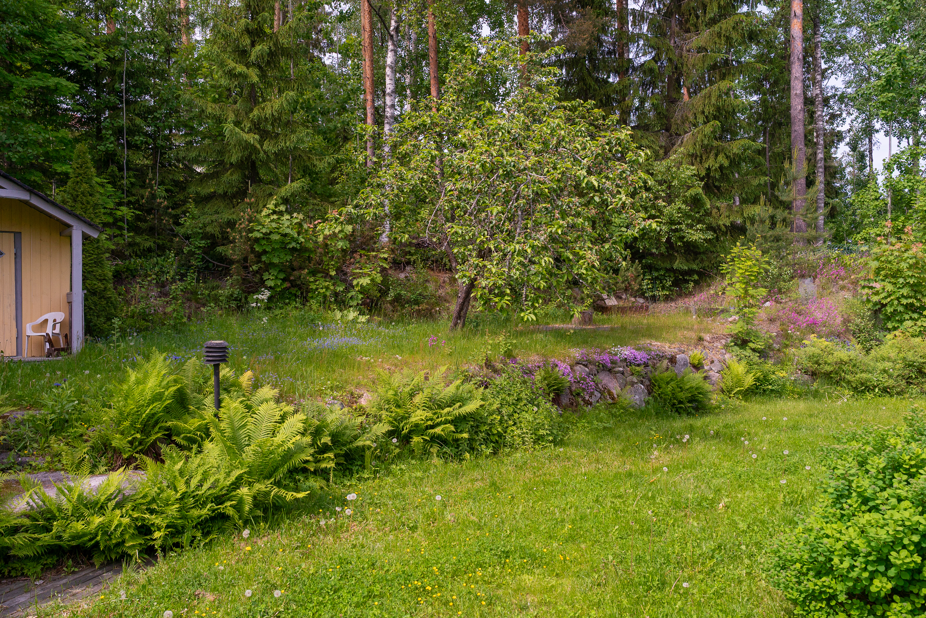 Vahverontie 25, Mäyrämäki, Jyväskylä