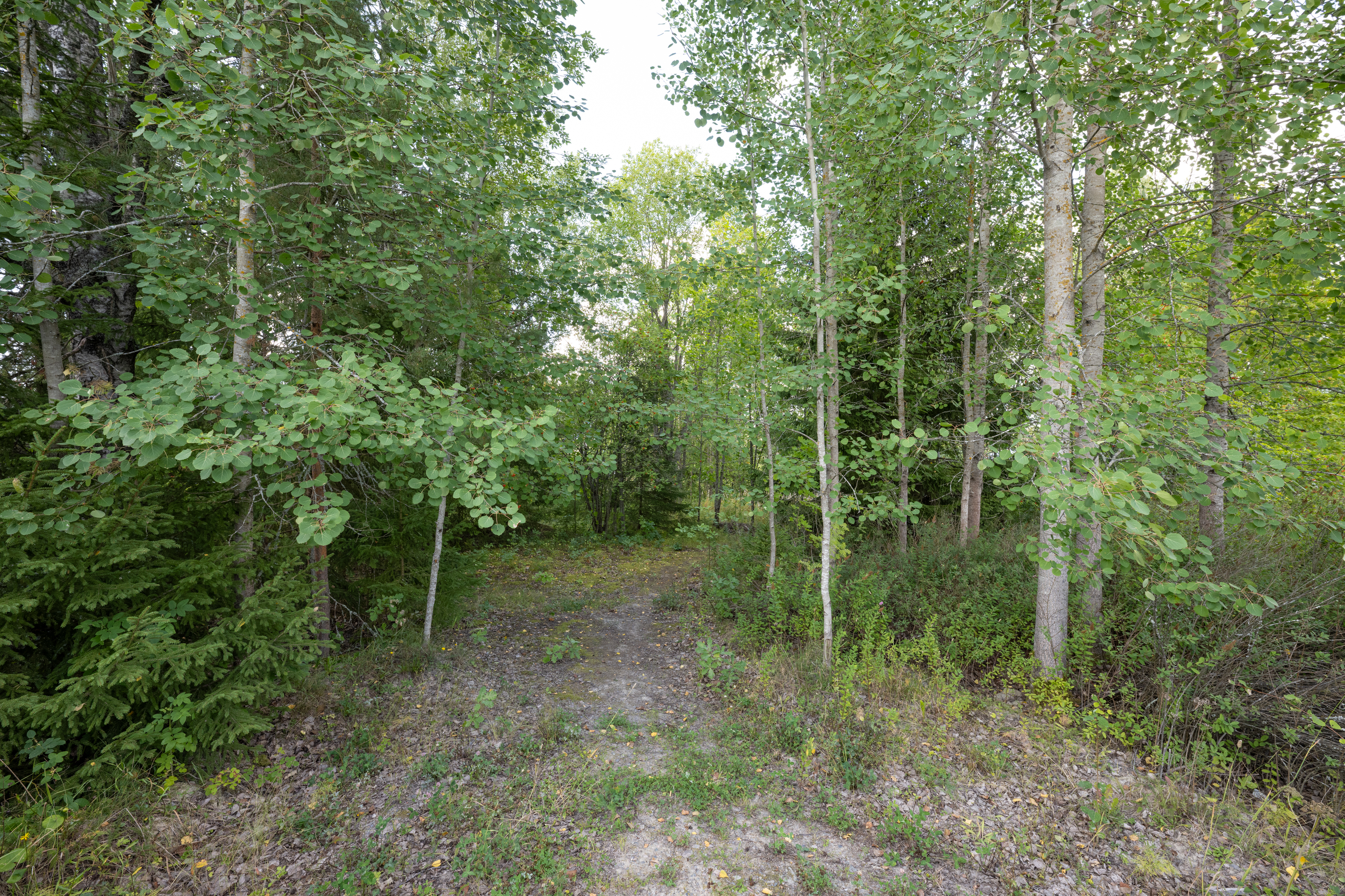 Siirintie 6, Perttula, Nurmijärvi