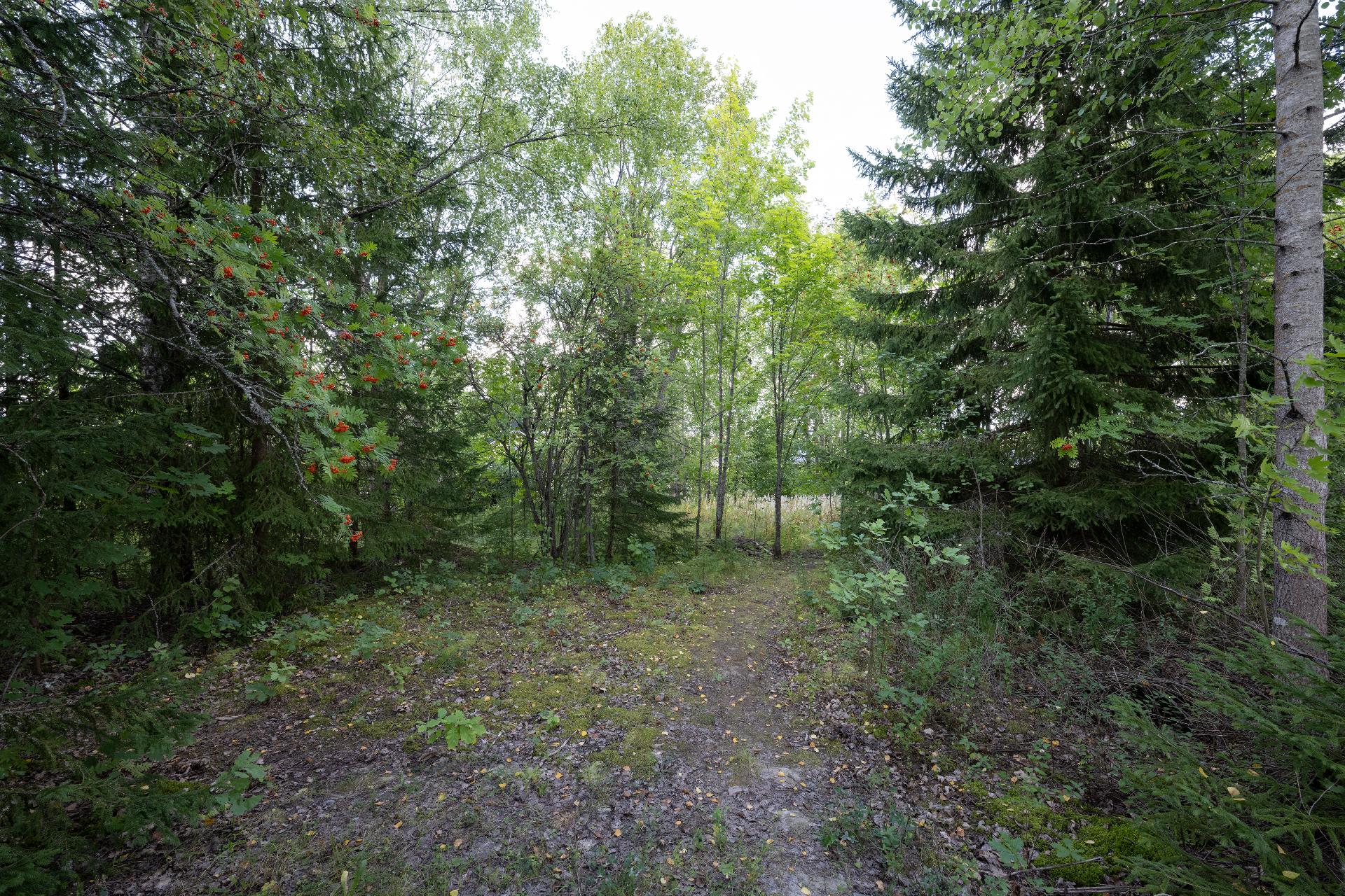 Siirintie 6, Perttula, Nurmijärvi