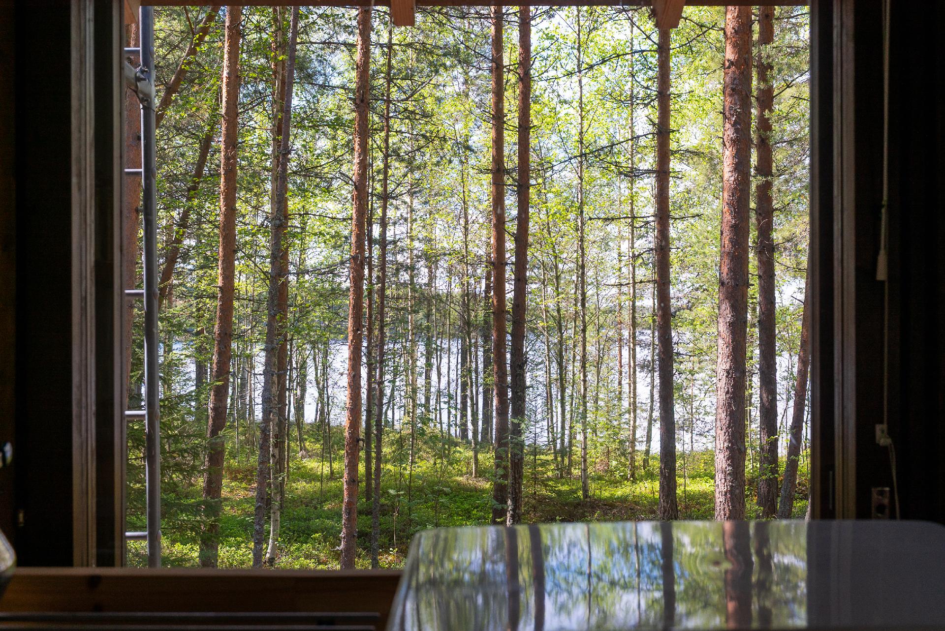 Iso Ylimensaari X, Äänekoski