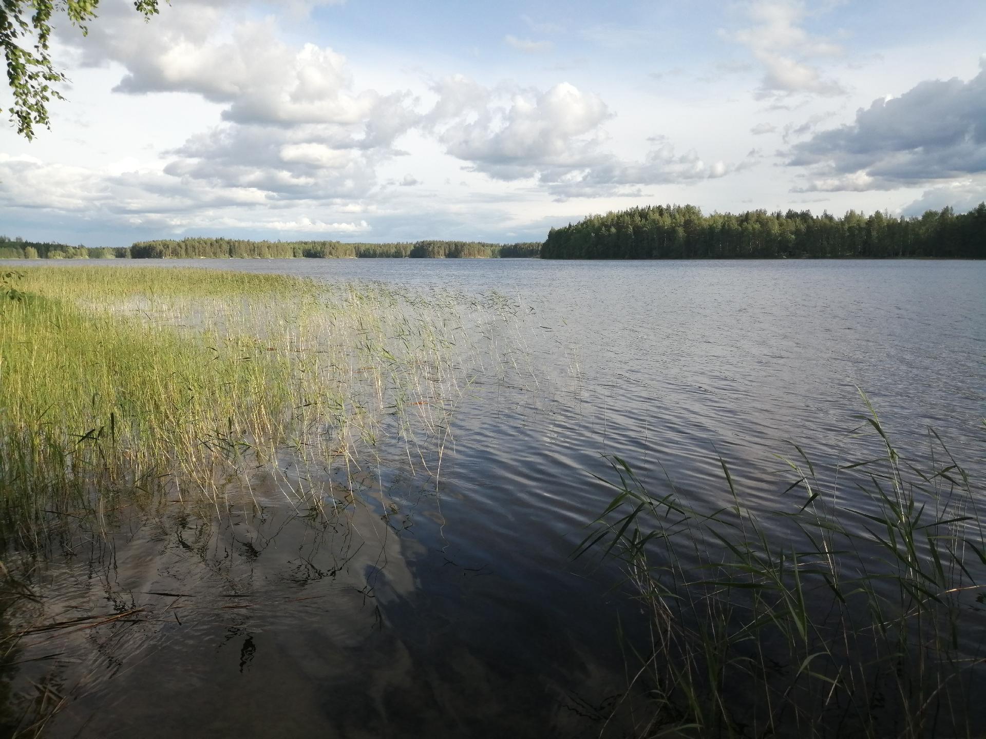 Kesäpirtintie 11, Riistavesi, Kuopio