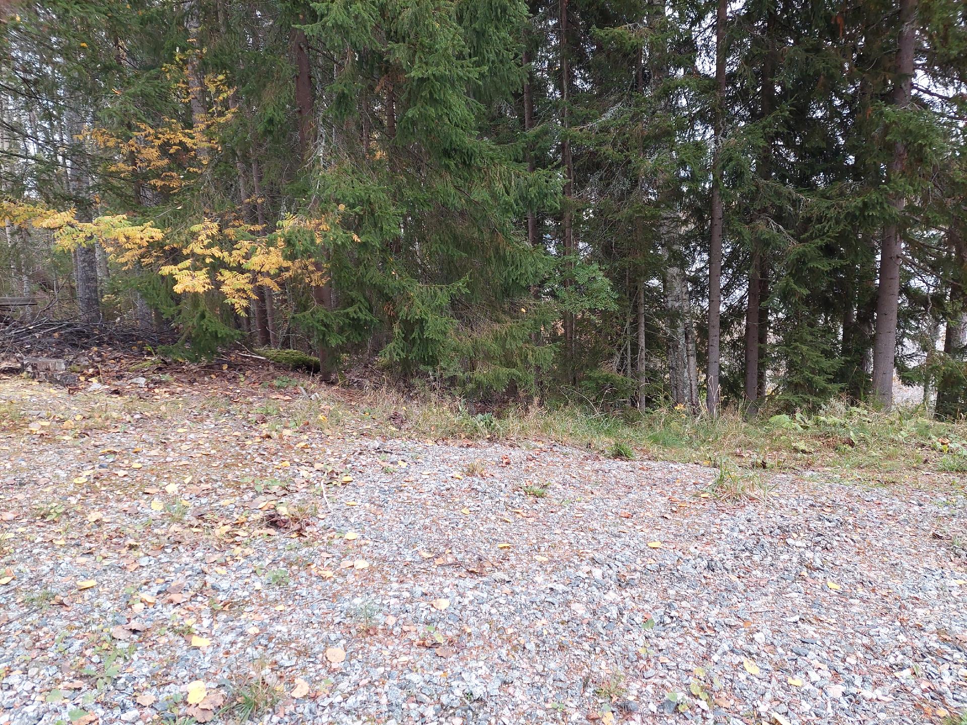 Kesäpirtintie 11, Riistavesi, Kuopio