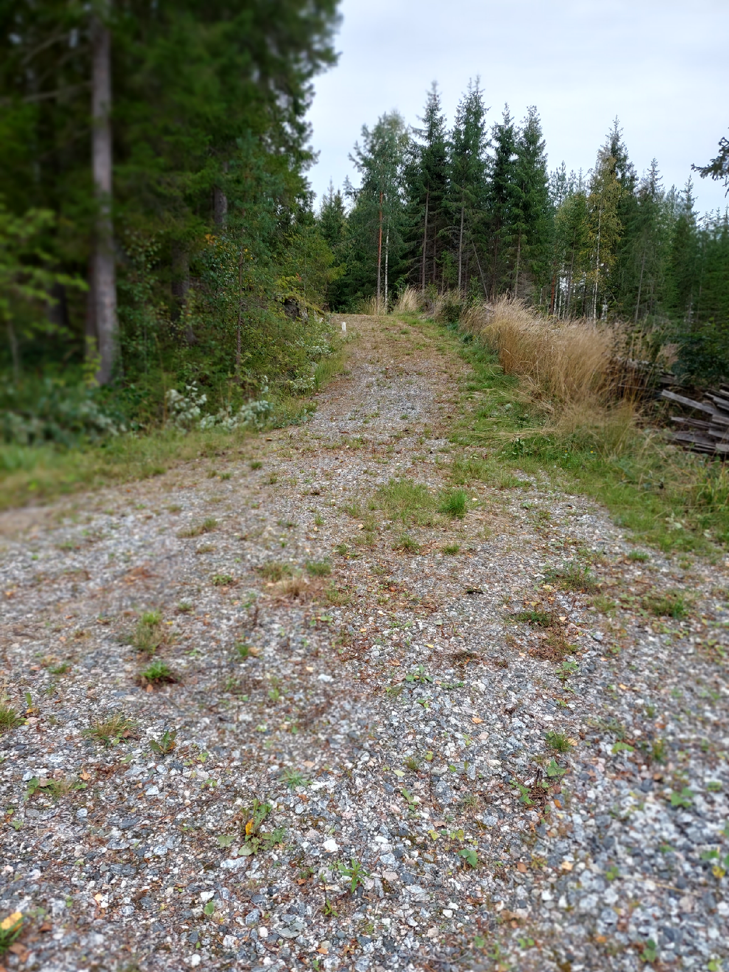 Kesäpirtintie 11, Riistavesi, Kuopio