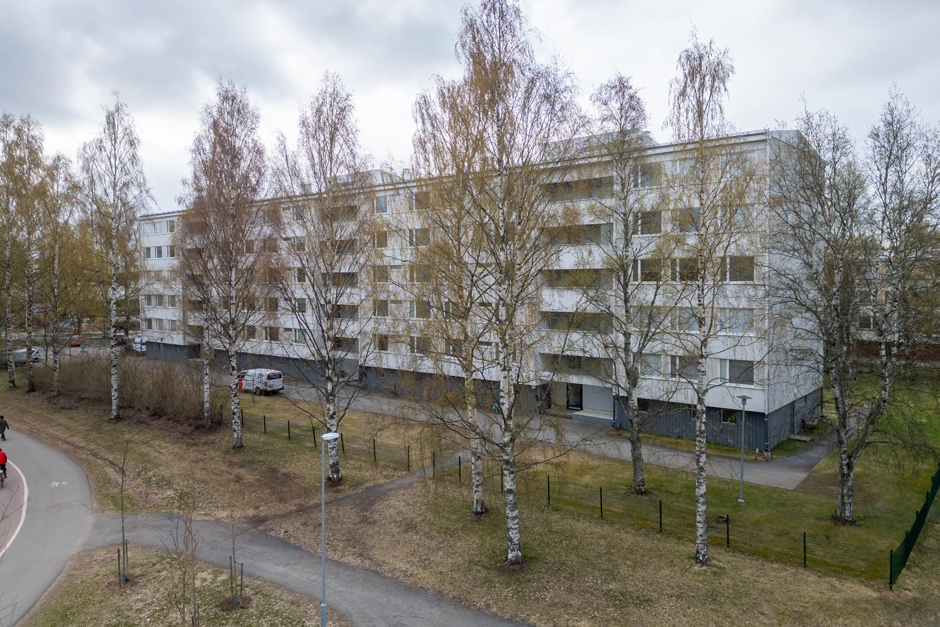 Aleksanterinkatu 54, Heinäpää, Oulu