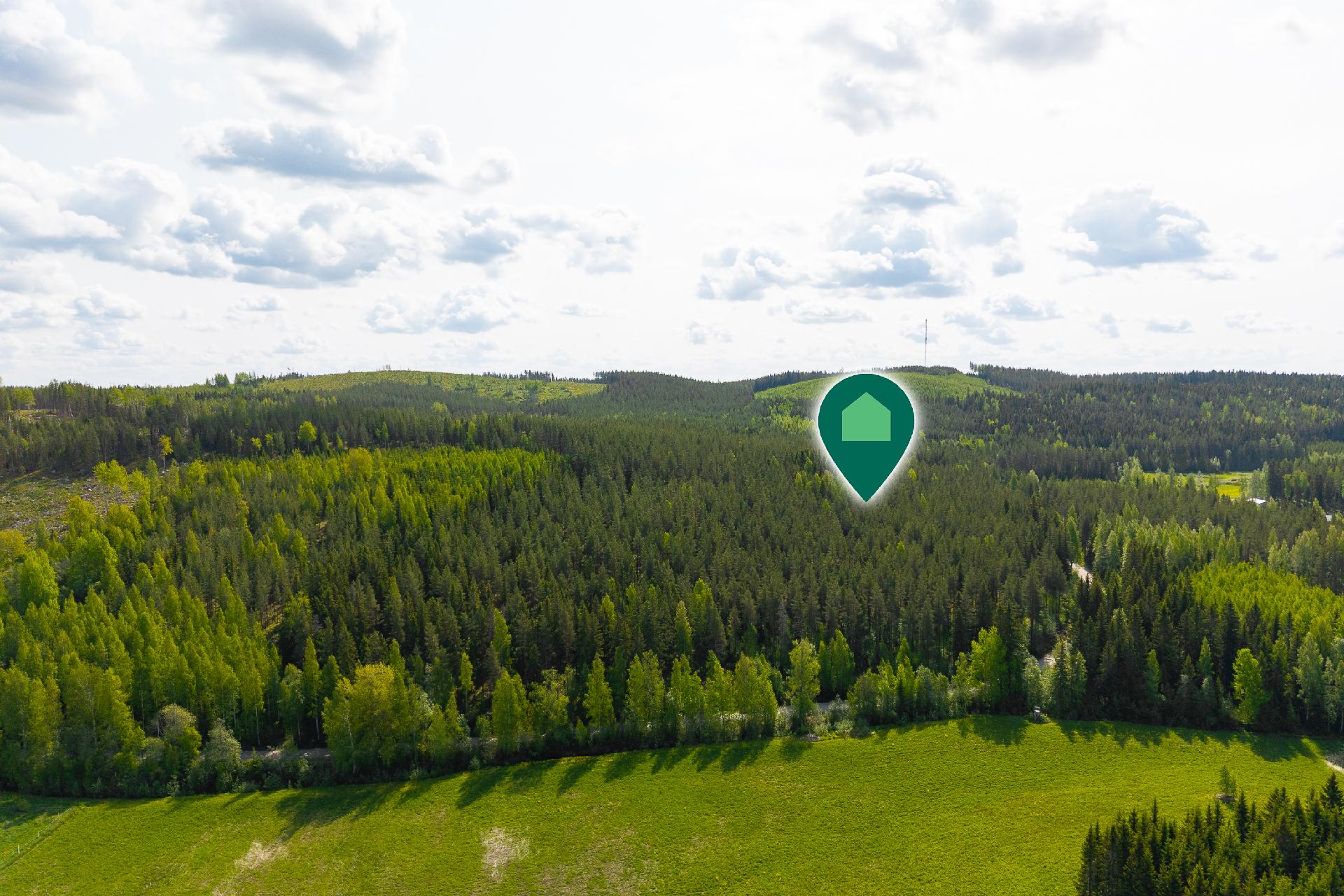 Niinivedentie 492, Äänekoski