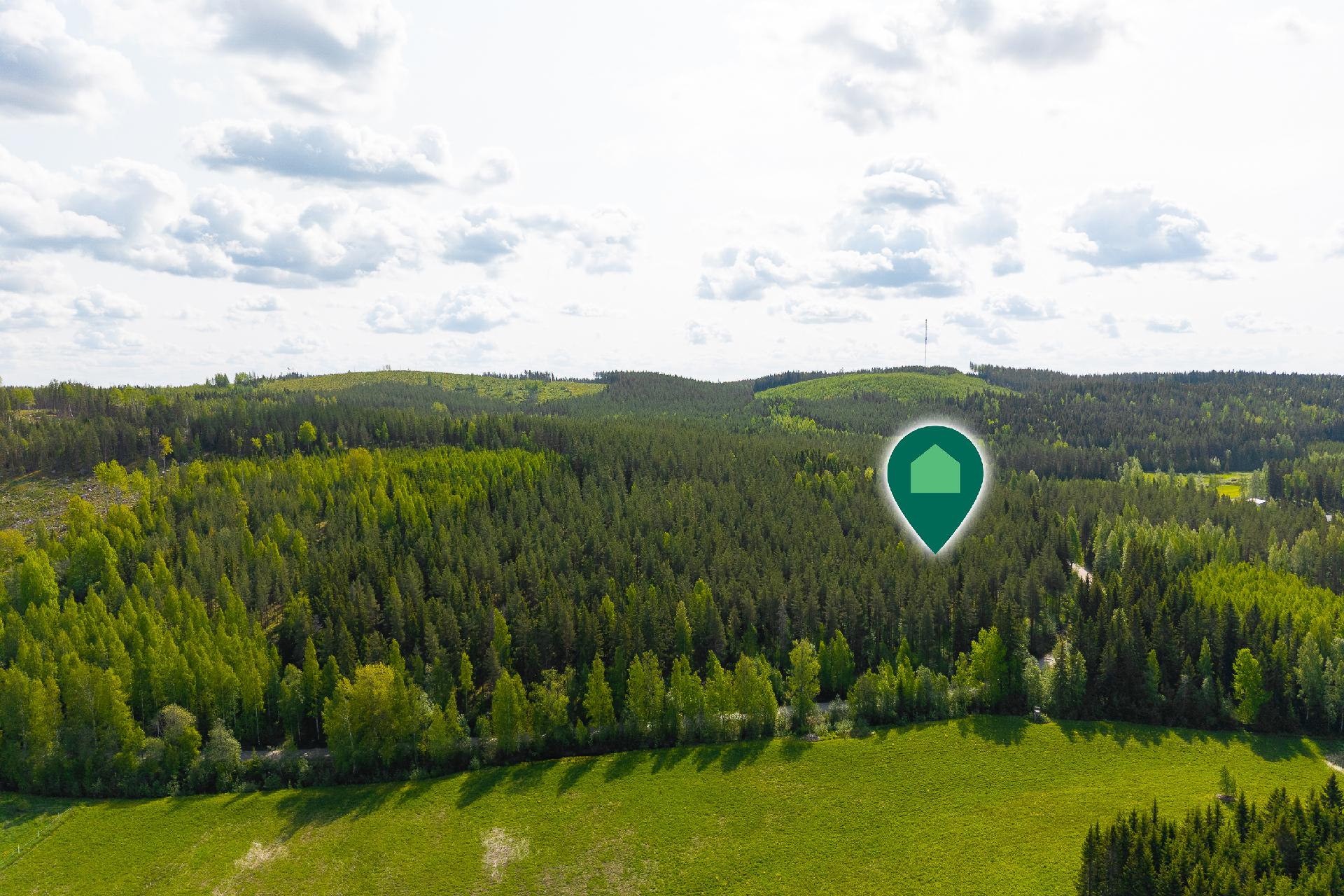 Niinivedentie 472, Äänekoski