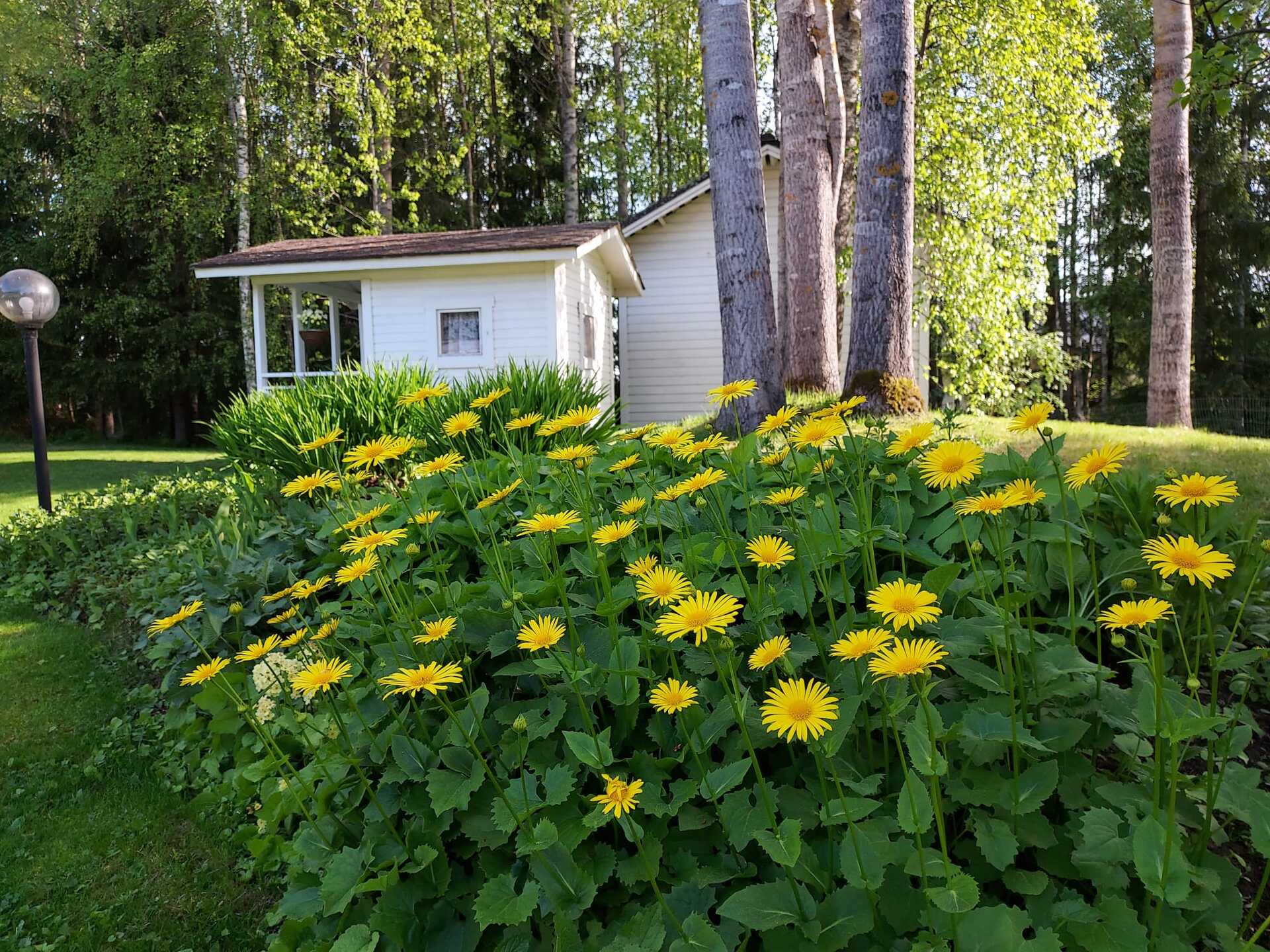 Myyjän kotikansio
