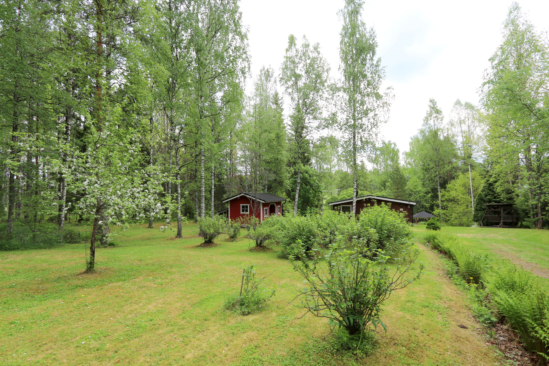 Yläpihaa