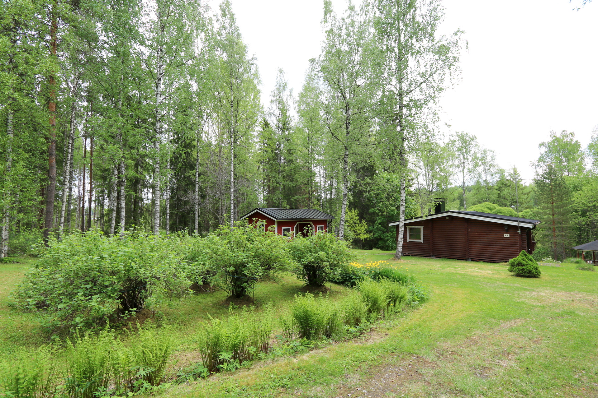 Yläpihaa