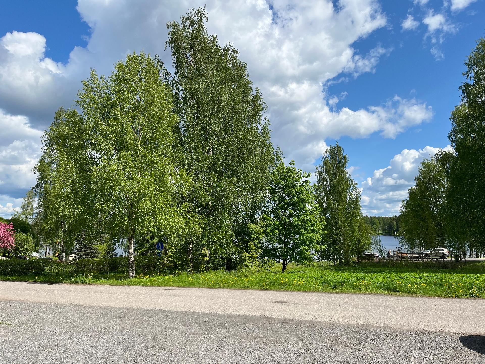 Harjuntie 18, Kankunharju, Varkaus