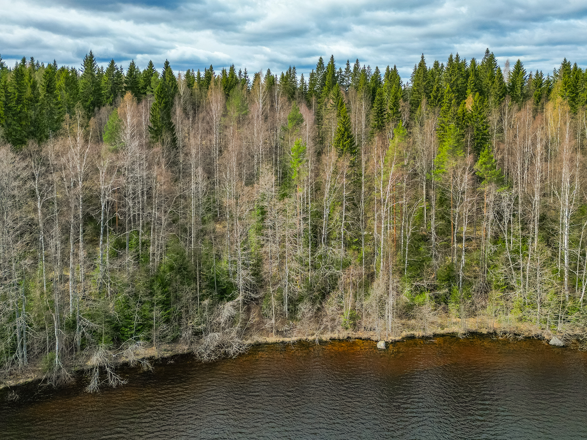 Pohjoispääntie 150, Ämmätsä, Pälkäne