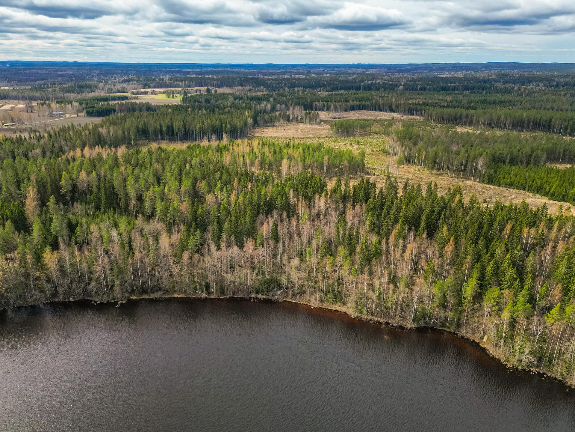 Pohjoispääntie 150, Ämmätsä, Pälkäne