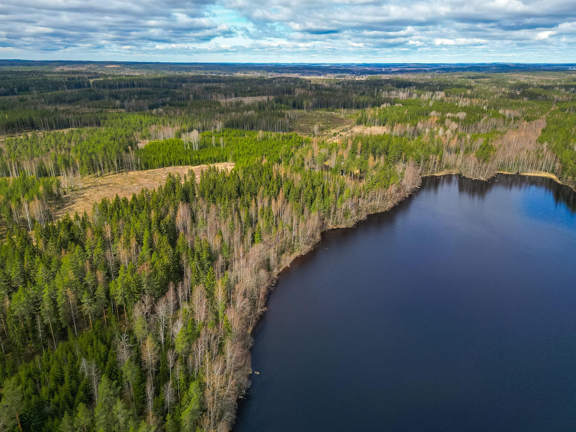 Pohjoispääntie 150, Ämmätsä, Pälkäne