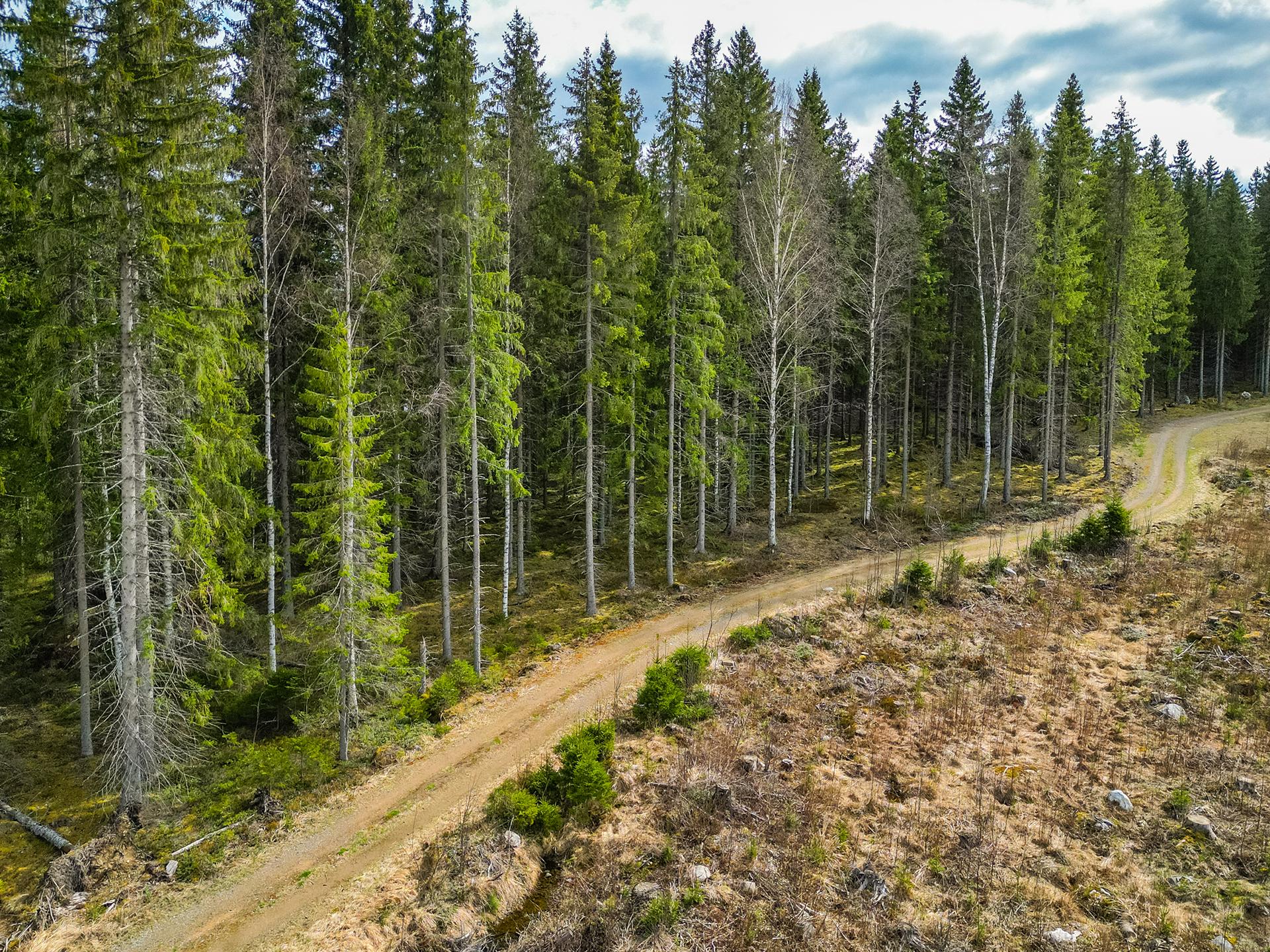 Pohjoispääntie 150, Ämmätsä, Pälkäne