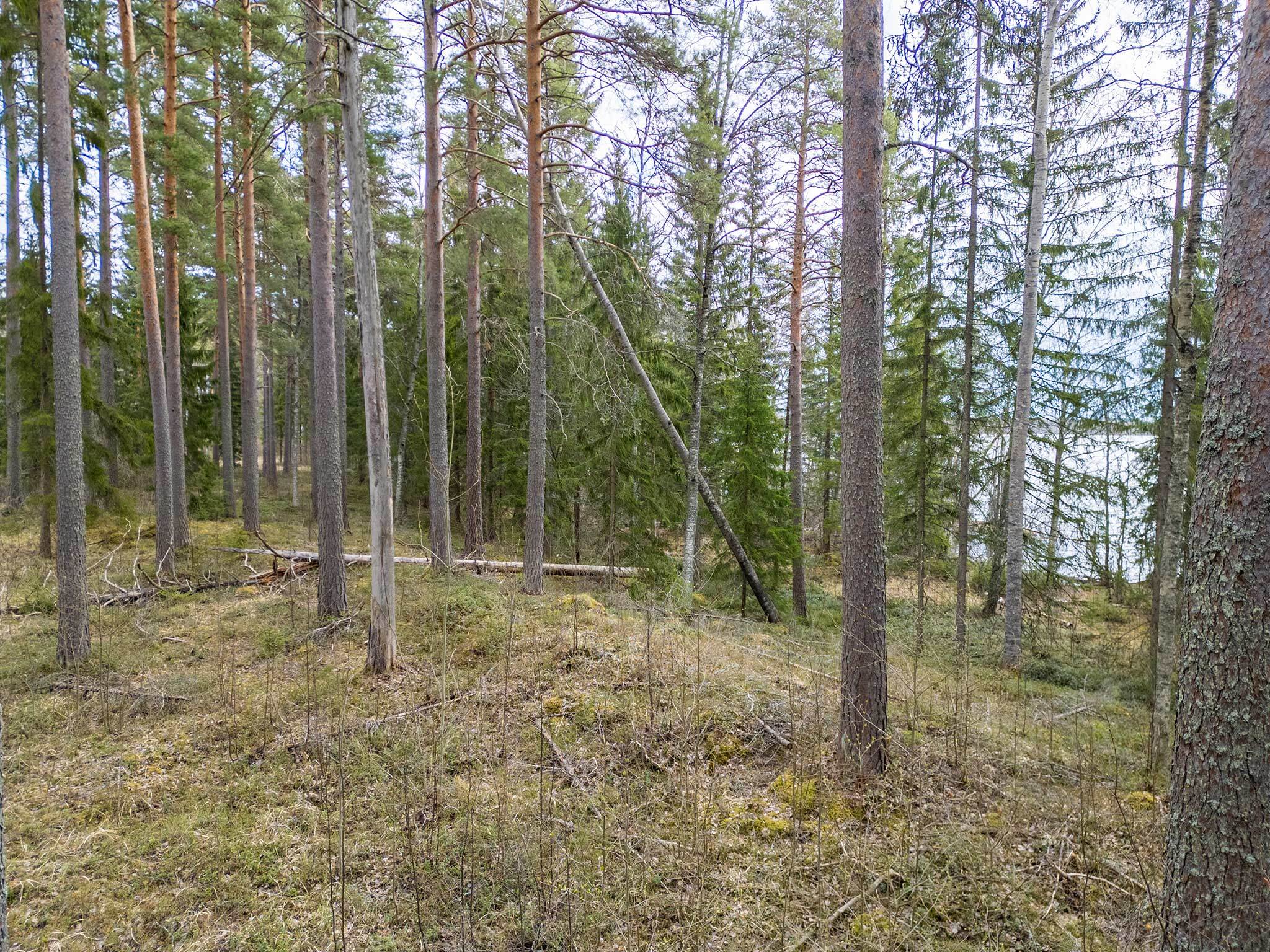 Niemenkyläntie 466 B, Kolho, Mänttä-Vilppula