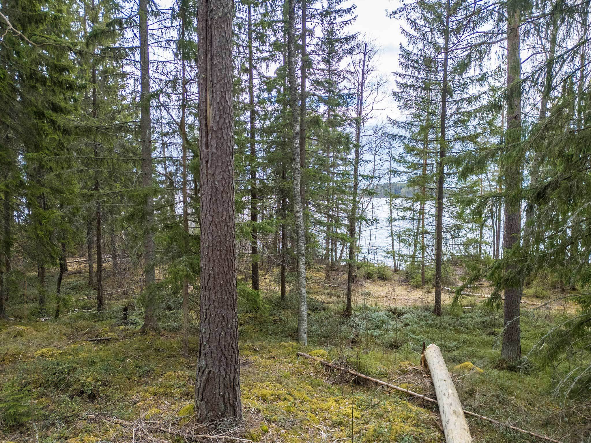 Niemenkyläntie 466 B, Kolho, Mänttä-Vilppula