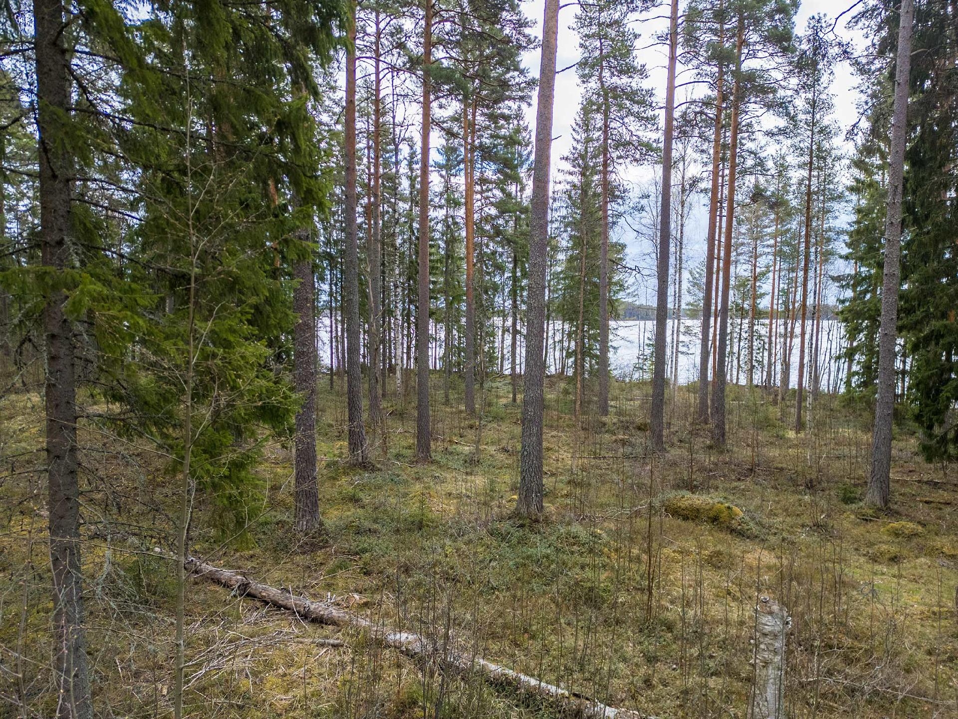 Niemenkyläntie 466 C, Kolho, Mänttä-Vilppula