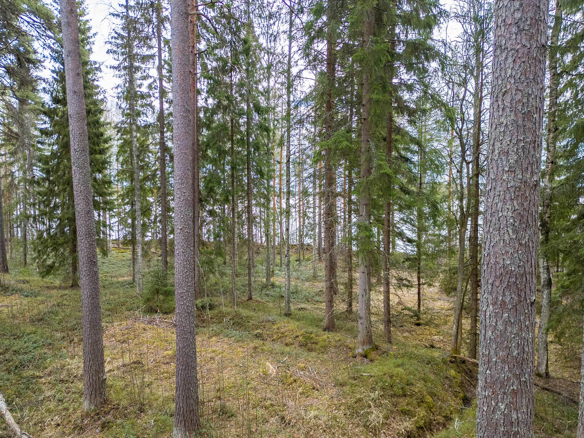 Niemenkyläntie 466 C, Kolho, Mänttä-Vilppula