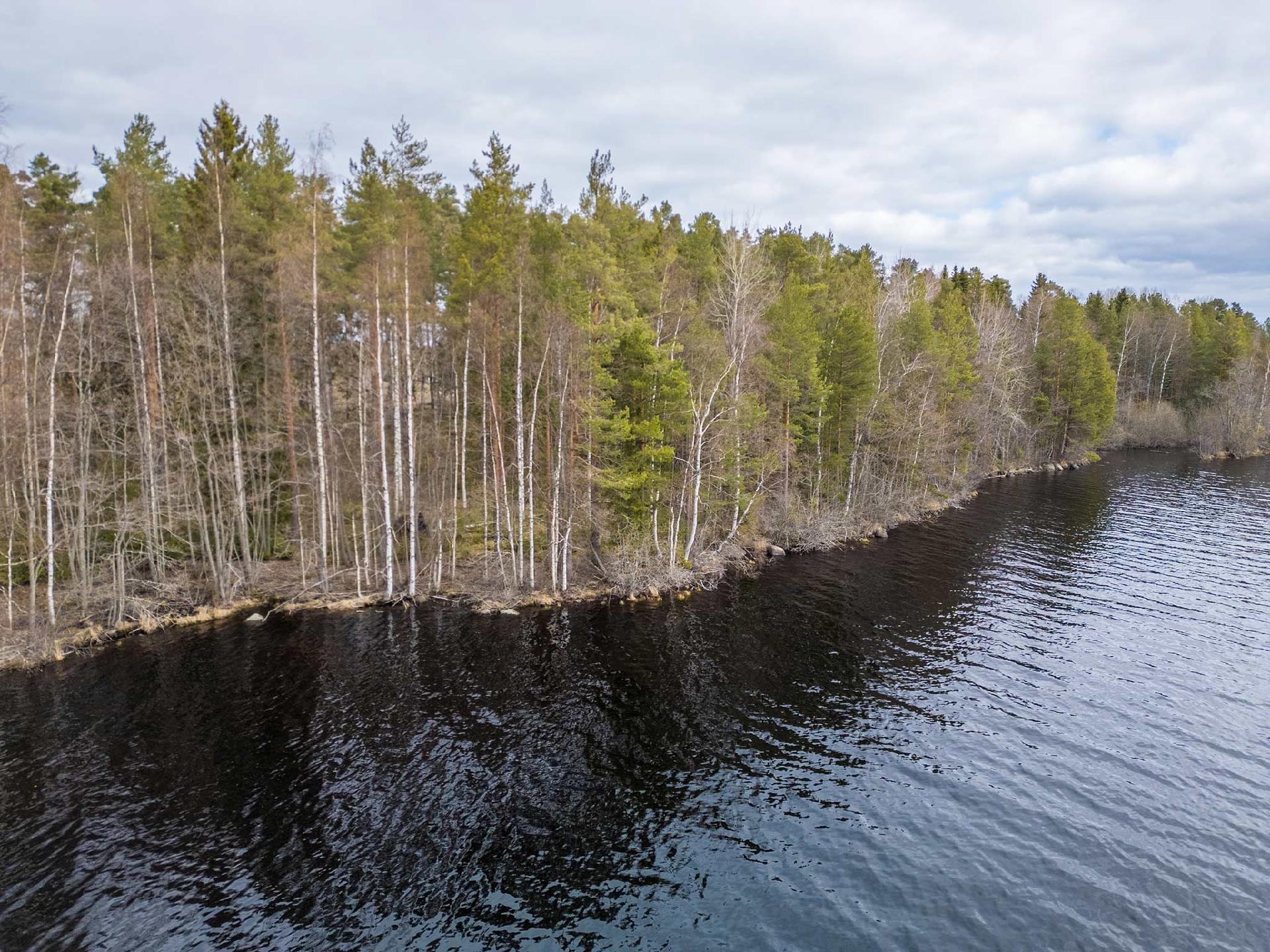 Niemenkyläntie 466 C, Kolho, Mänttä-Vilppula