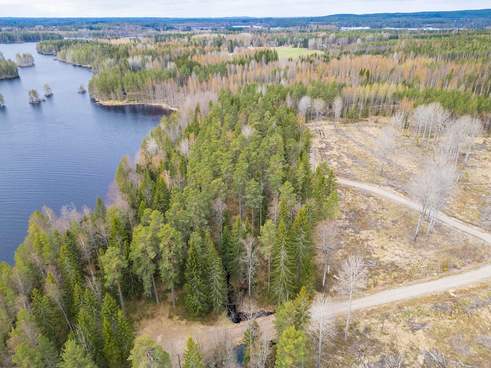 Niemenkyläntie 466 D, Kolho, Mänttä-Vilppula