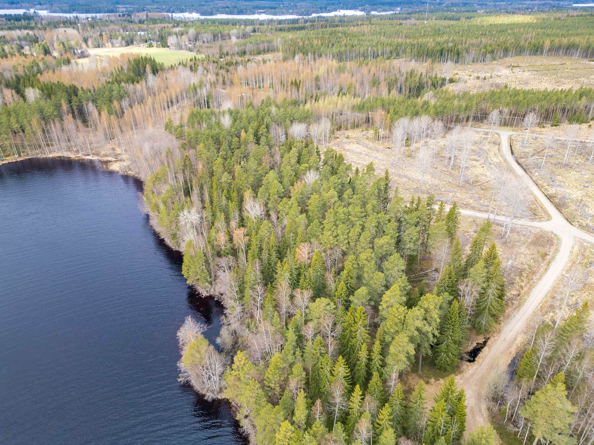 Niemenkyläntie 466 D, Kolho, Mänttä-Vilppula