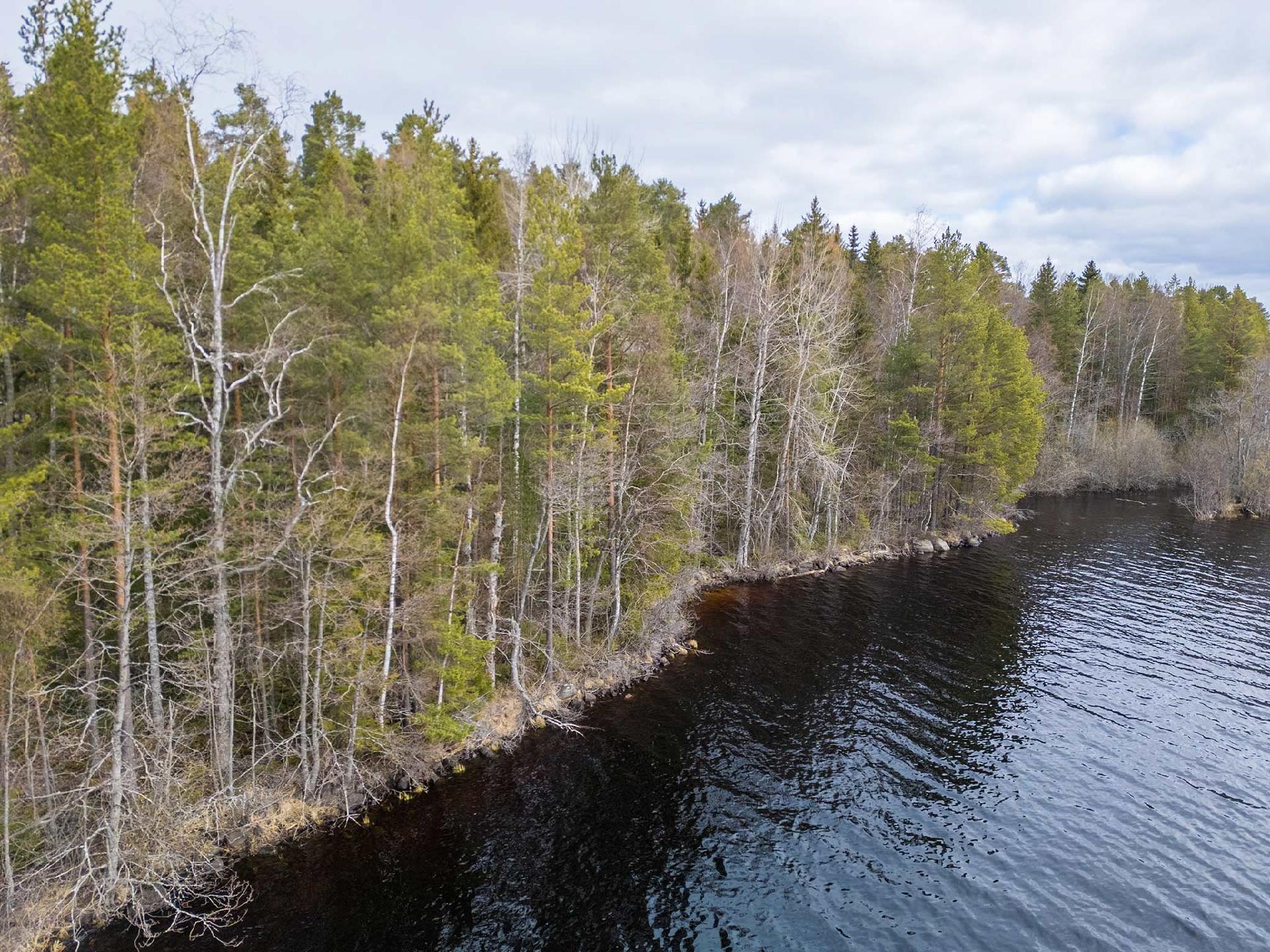 Niemenkyläntie 466 D, Kolho, Mänttä-Vilppula