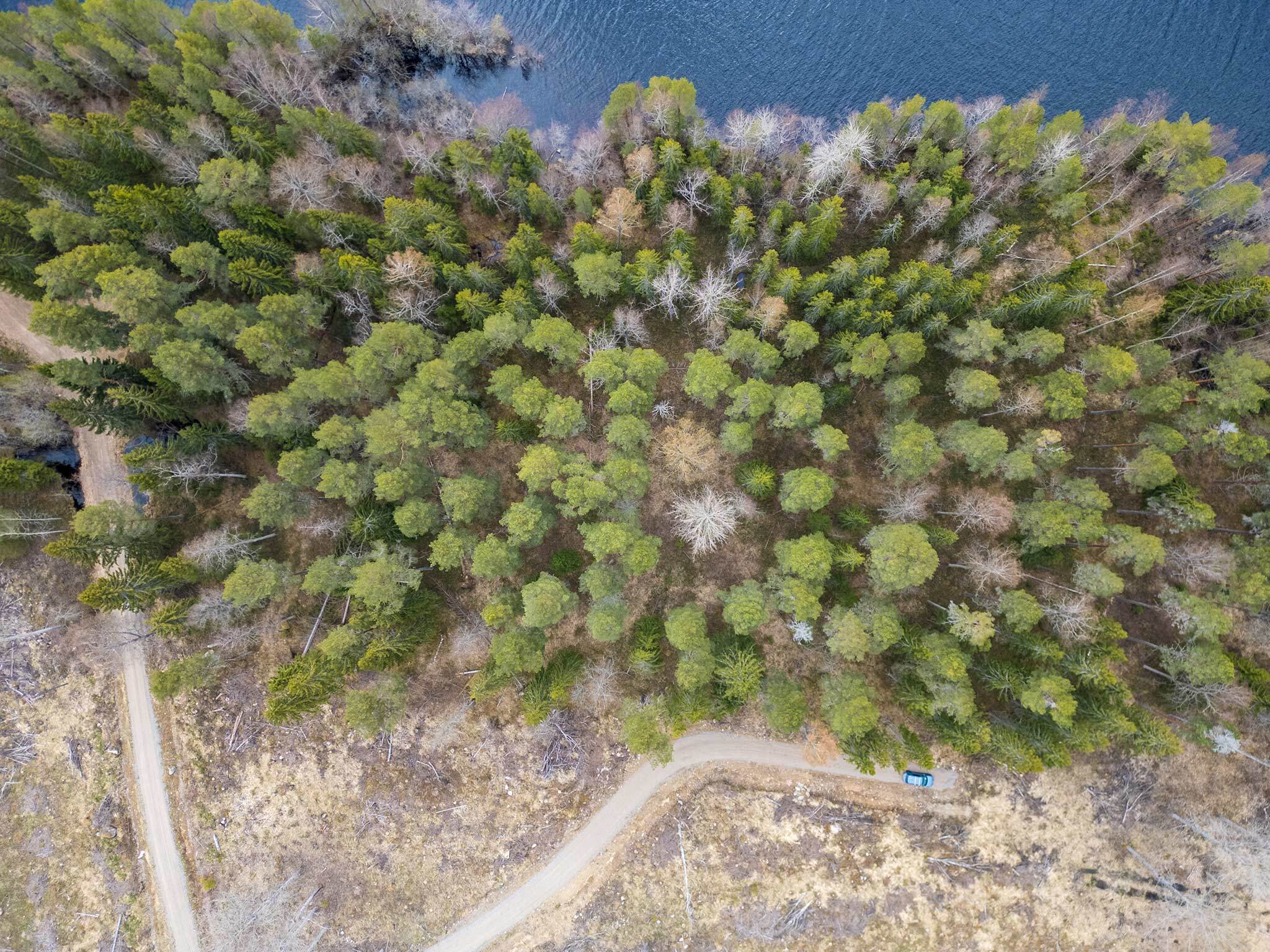 Niemenkyläntie 466 D, Kolho, Mänttä-Vilppula