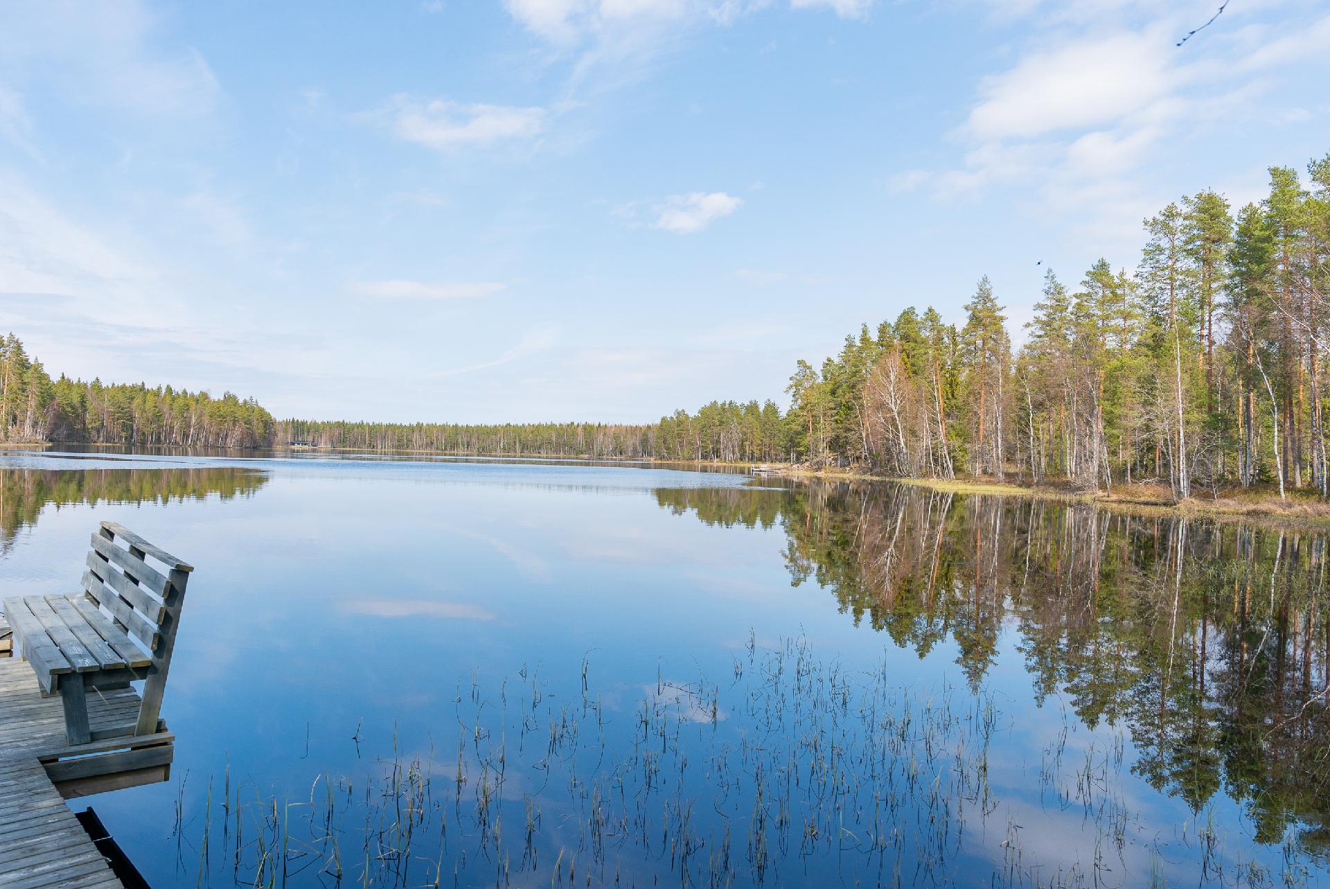 Kolhinsalontie 298, Hallinpenkki, Jämsä
