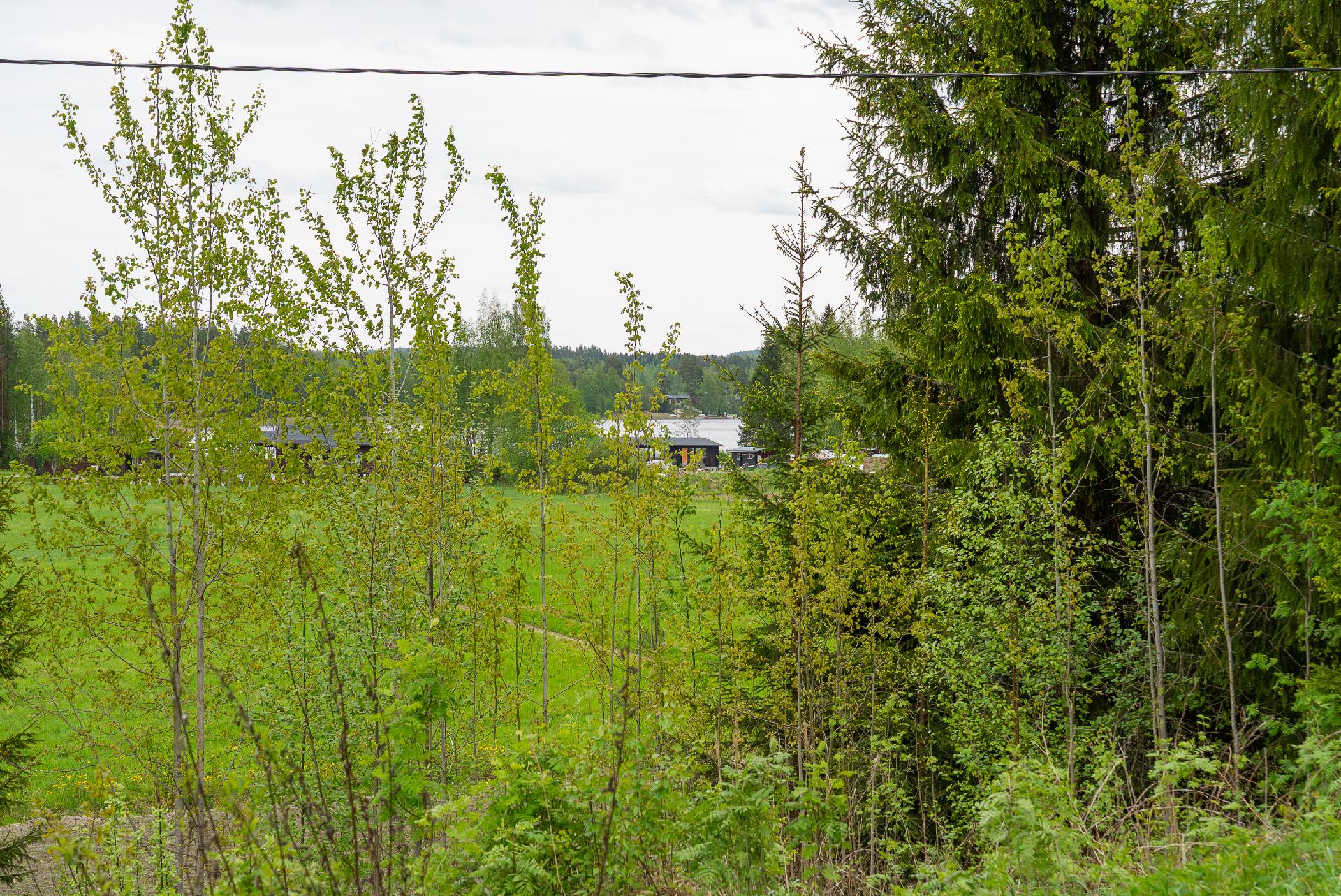 Miljoonatie 113, Äijälä, Laukaa