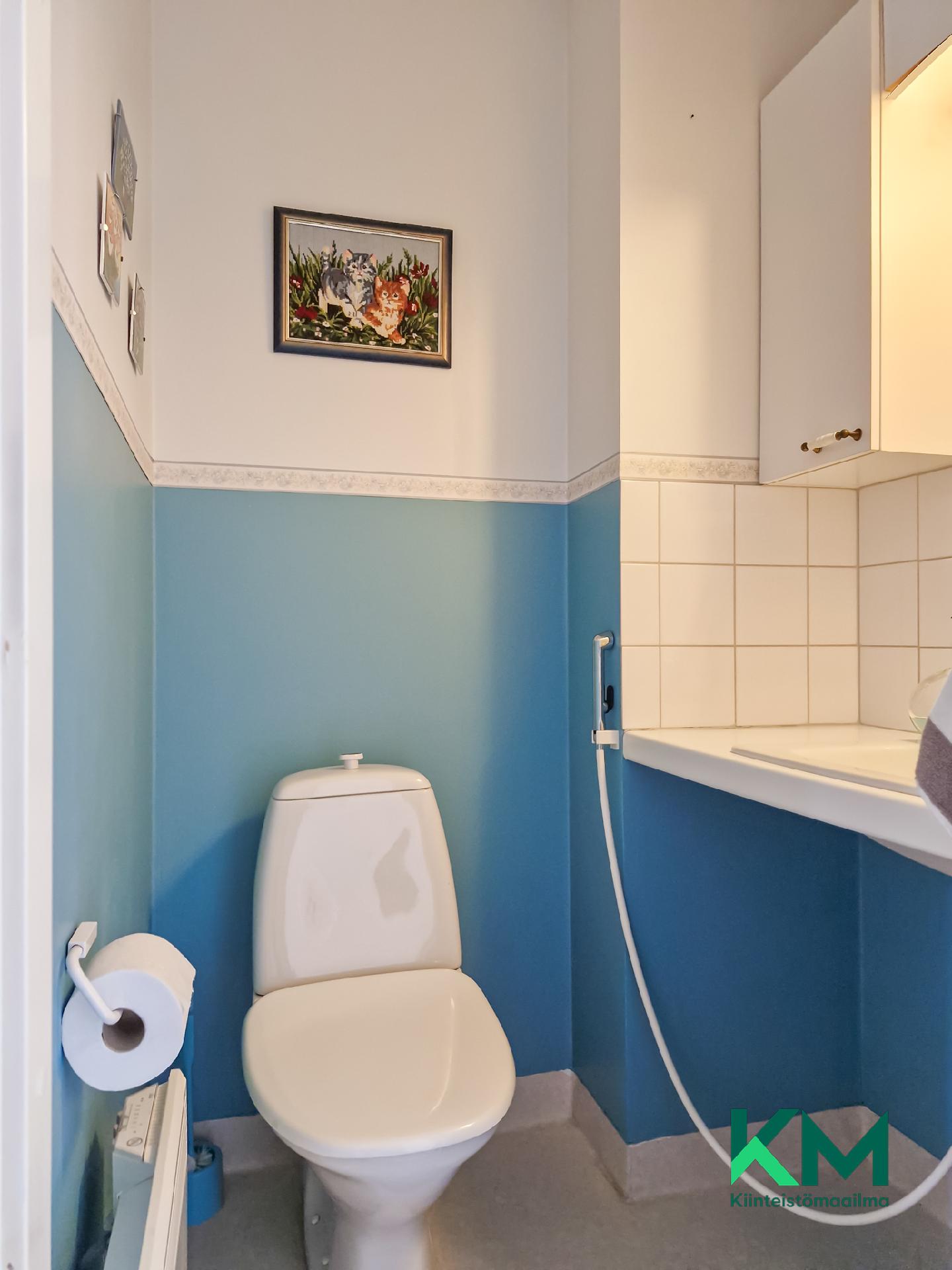 Pääskyniementie 16, Pääskyniemi, Savonlinna