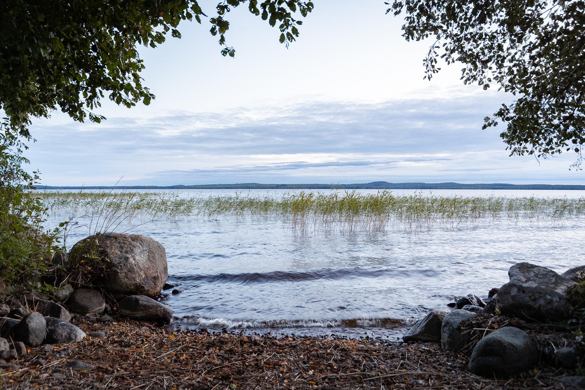 Autiolahdentie 80, Suovanlahti, Viitasaari