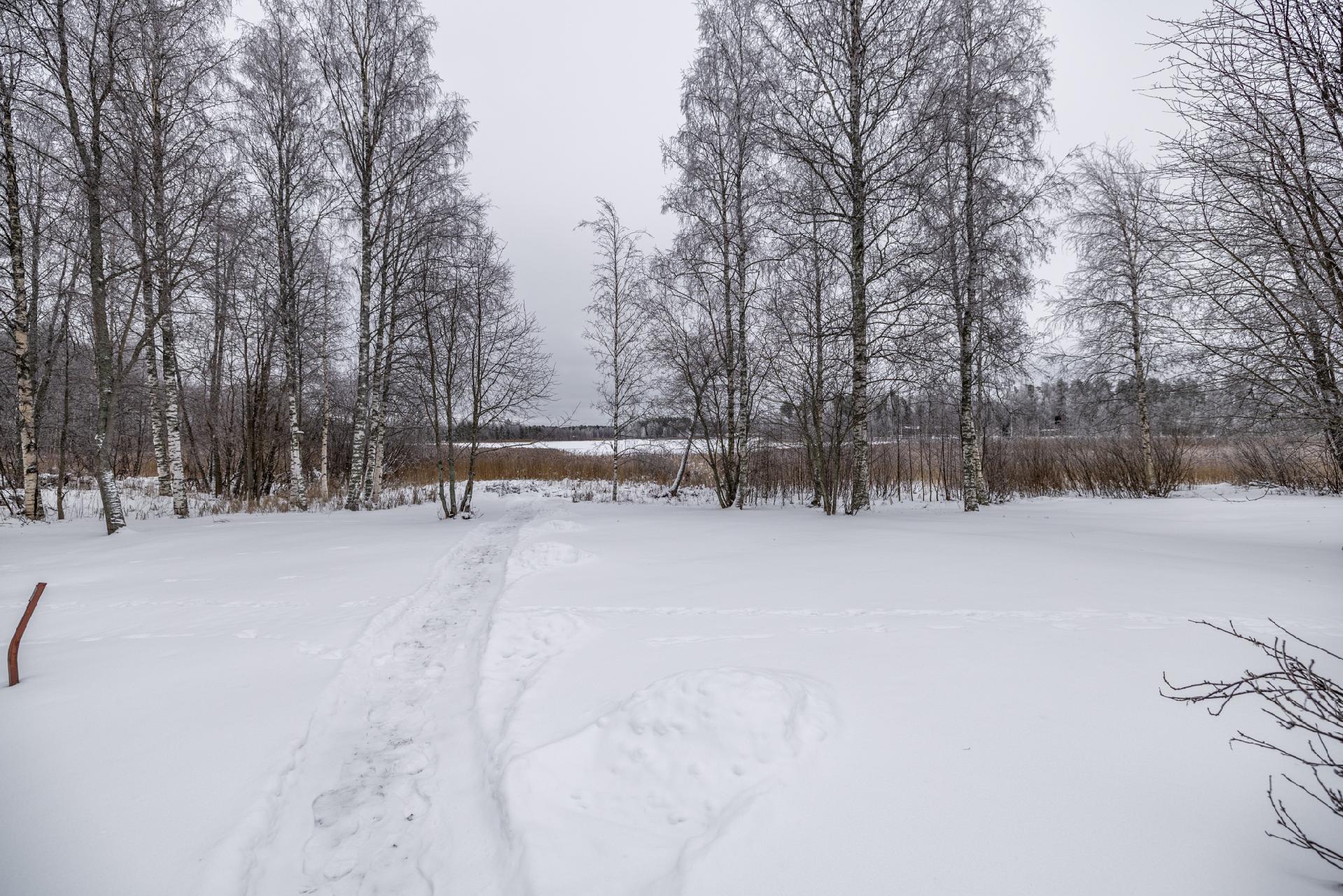 Kuhalammentie 31, Juva