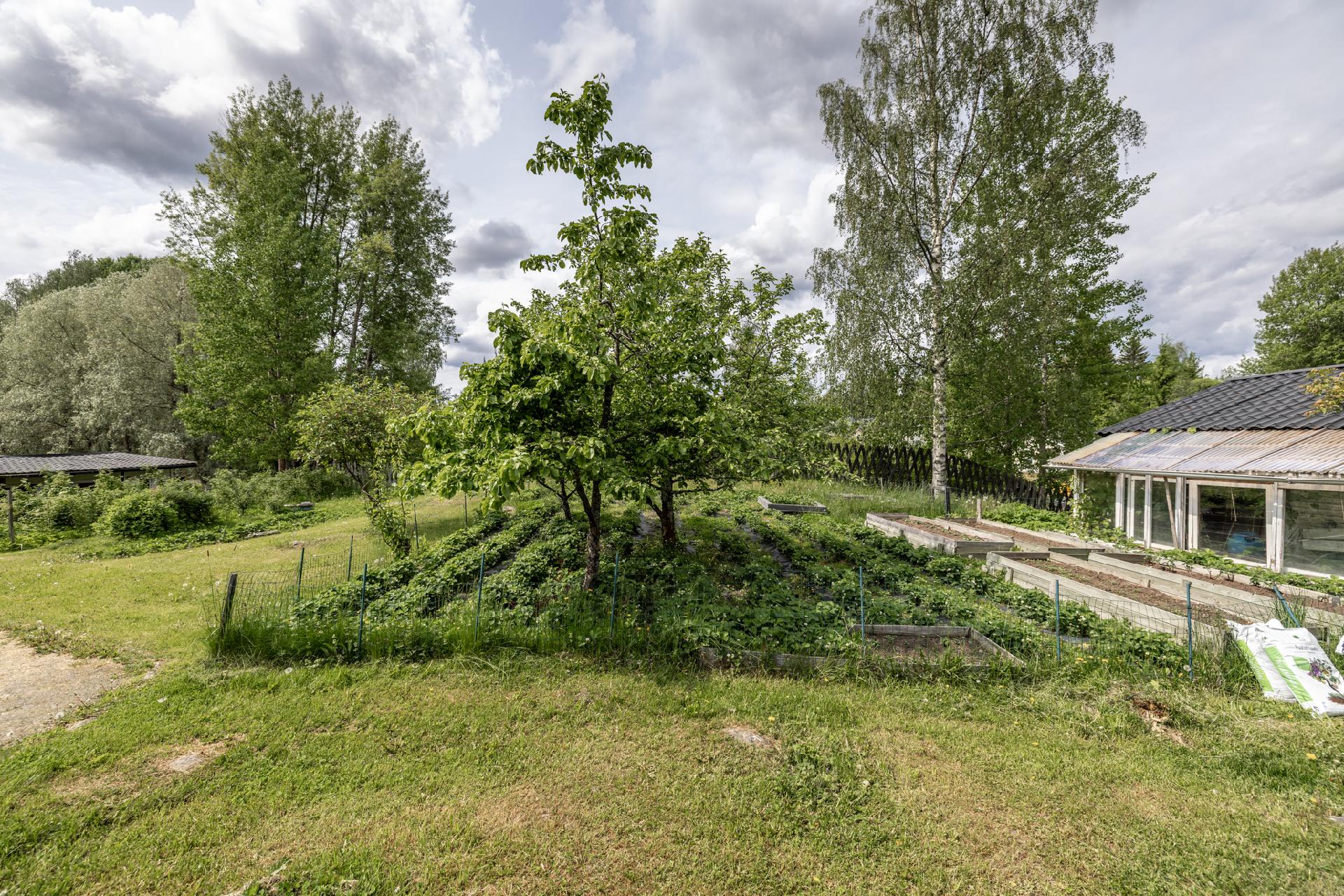 Niemekkeentie 24, Mikkeli