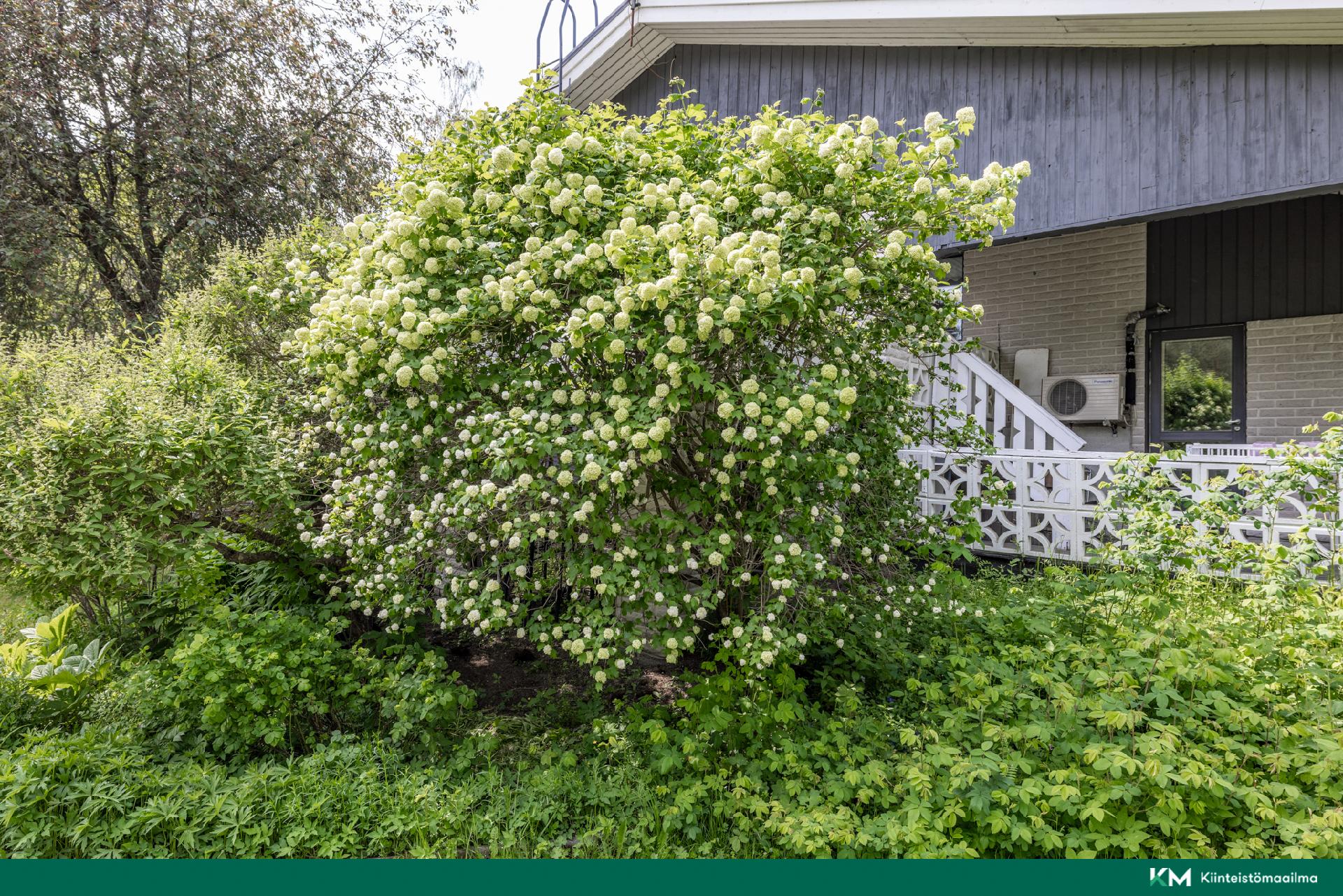 Niemekkeentie 24, Mikkeli