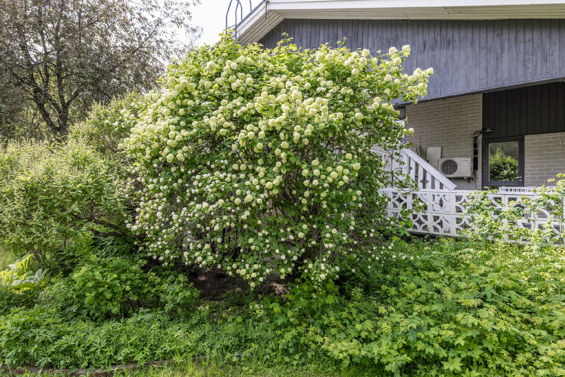 Niemekkeentie 24, Mikkeli