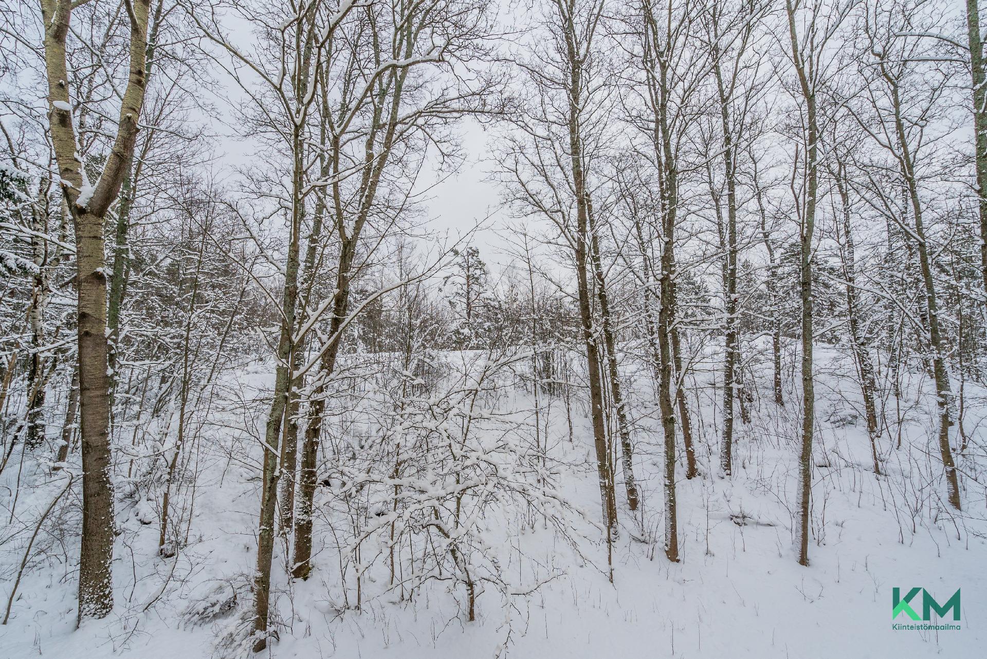 Näkymä mh ikkunasta